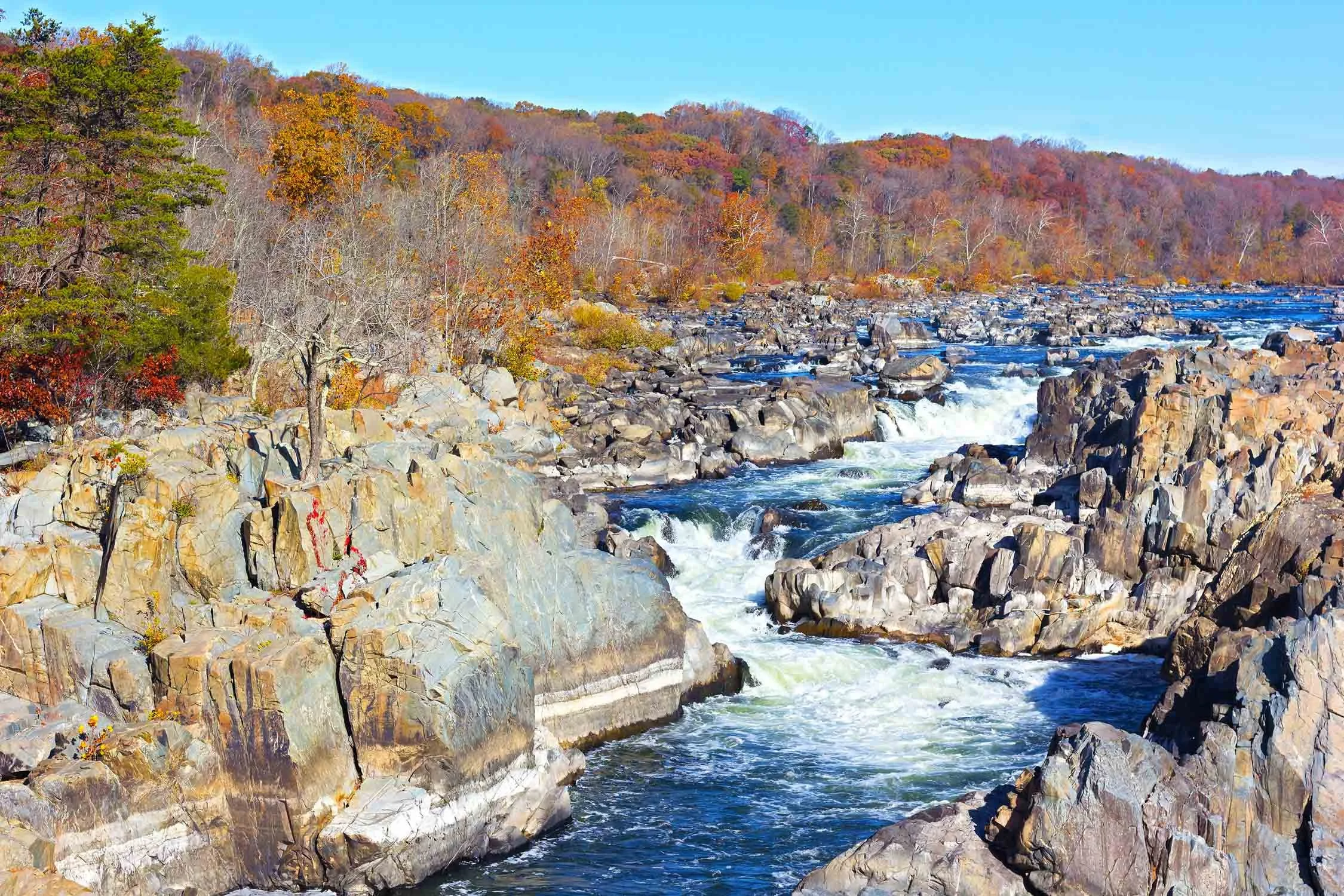 Waterfalls, rapids, and forest landscape in Great Falls Virginia park