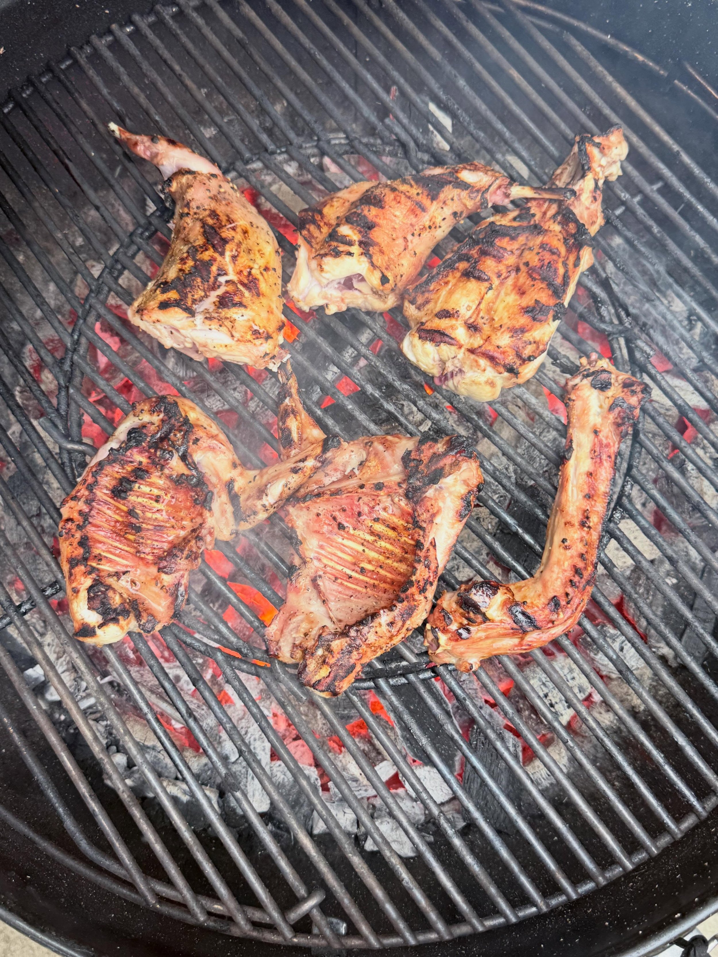 I made paella on the grill. I had a rabbit in my freezer so I made the paella of the land recipe from the nytimes. The recipe was from Chris Schlesinger. For a minute in the 80&rsquo;s we worked at the same restaurant in Cambridge. Then I made a fire