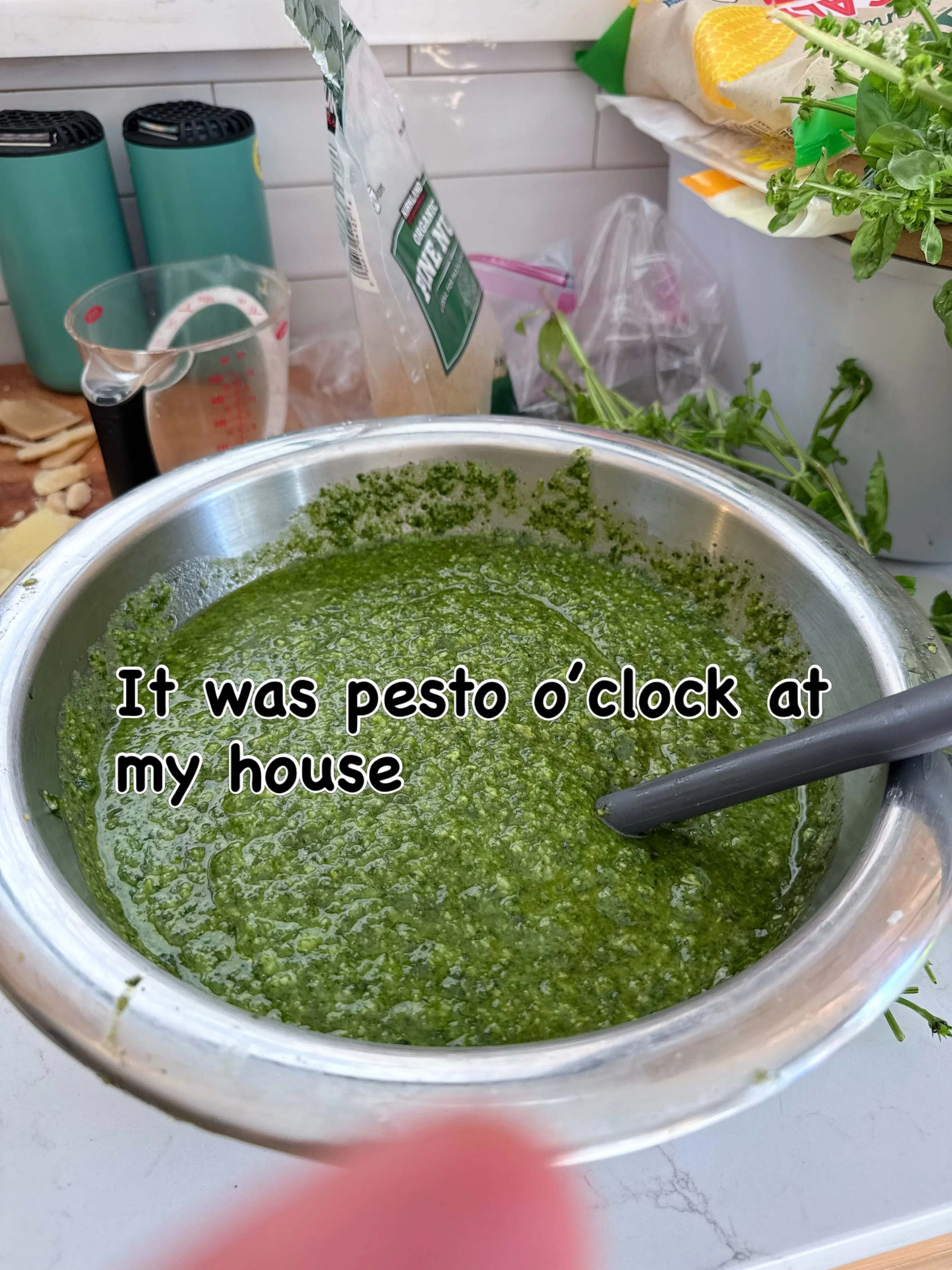 🍃🌱Huge city garden harvest! I made some without cheese for my dairy free husband. The freezer is packed! You should come to dinner.