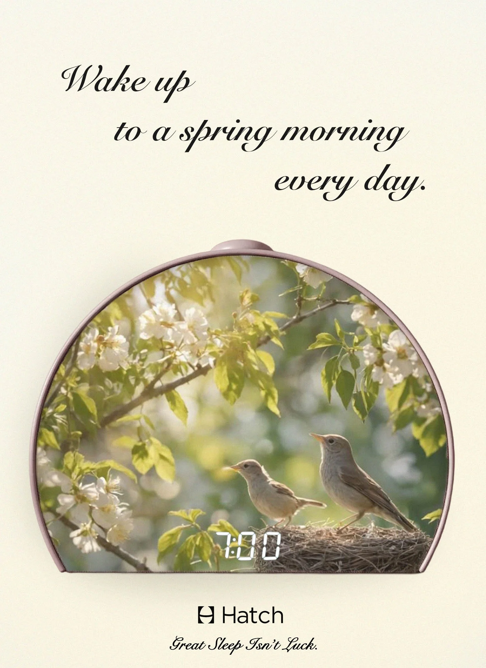 spring morning final .jpg