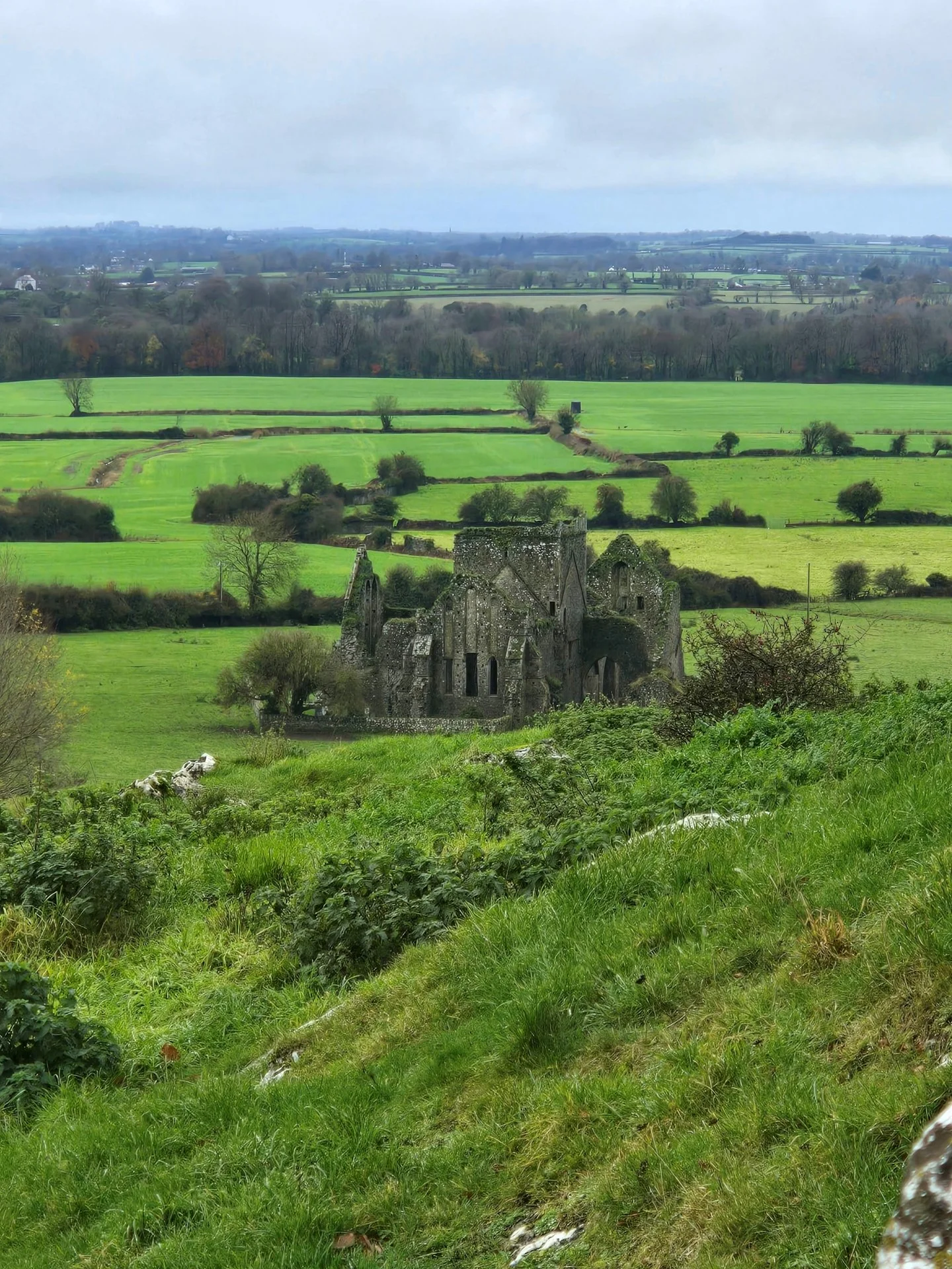 Cashel