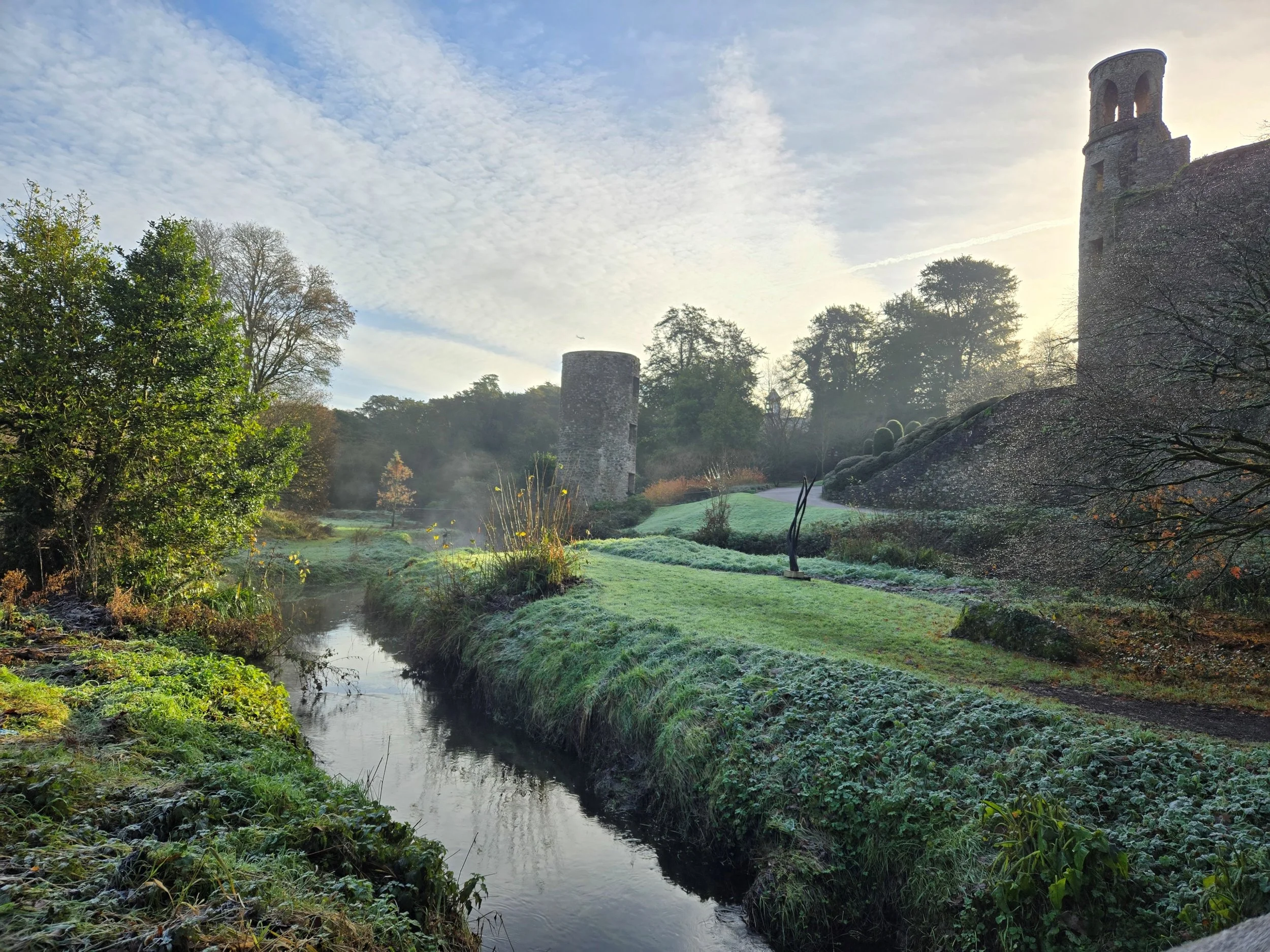Blarney Frost