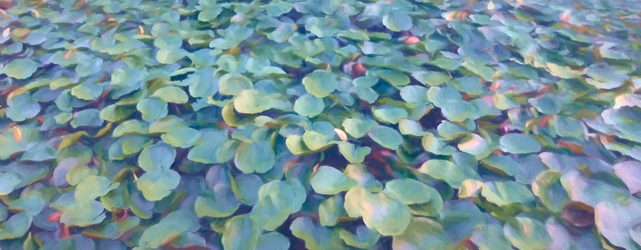 Lily Pads
