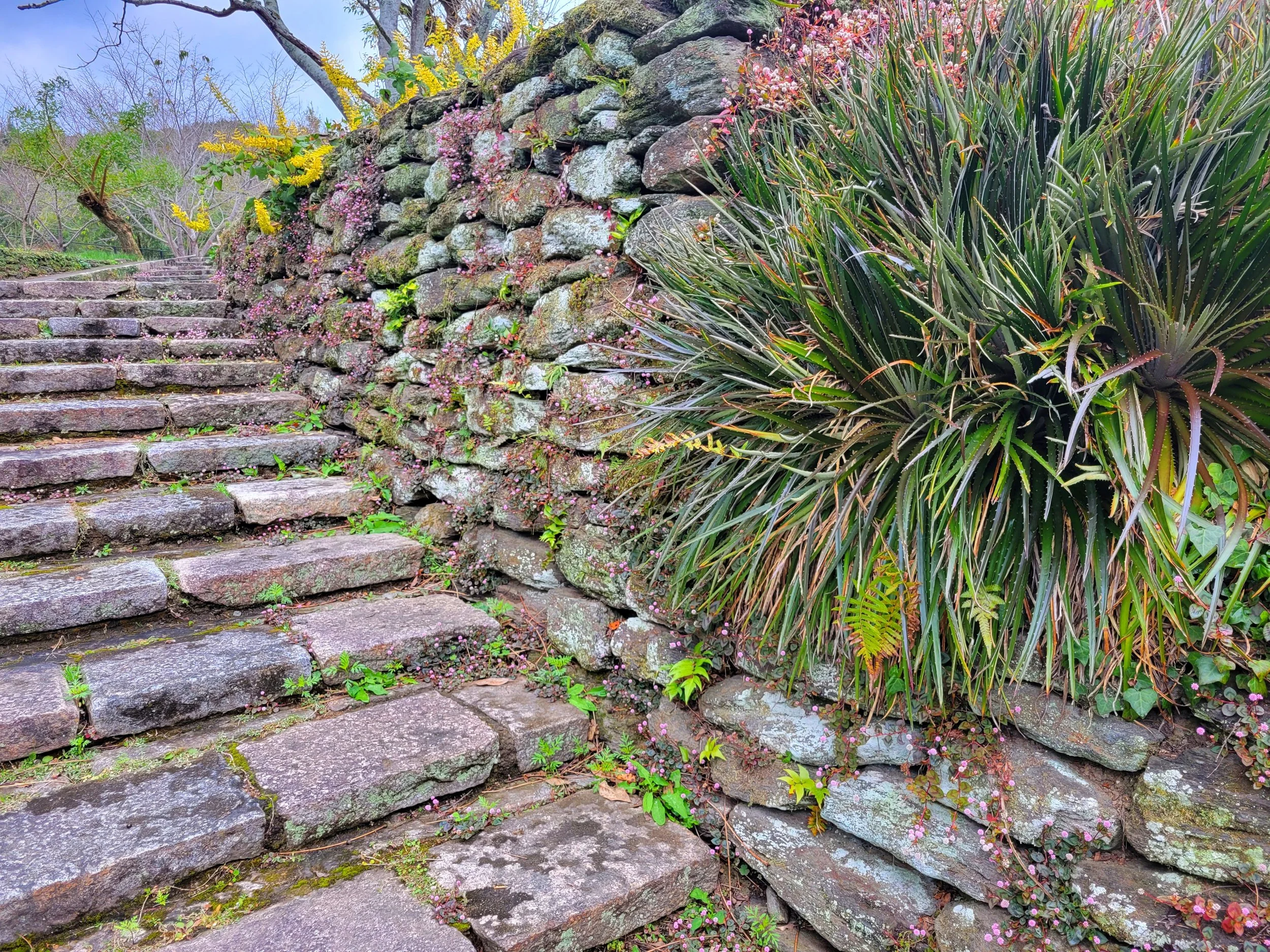 The Steps