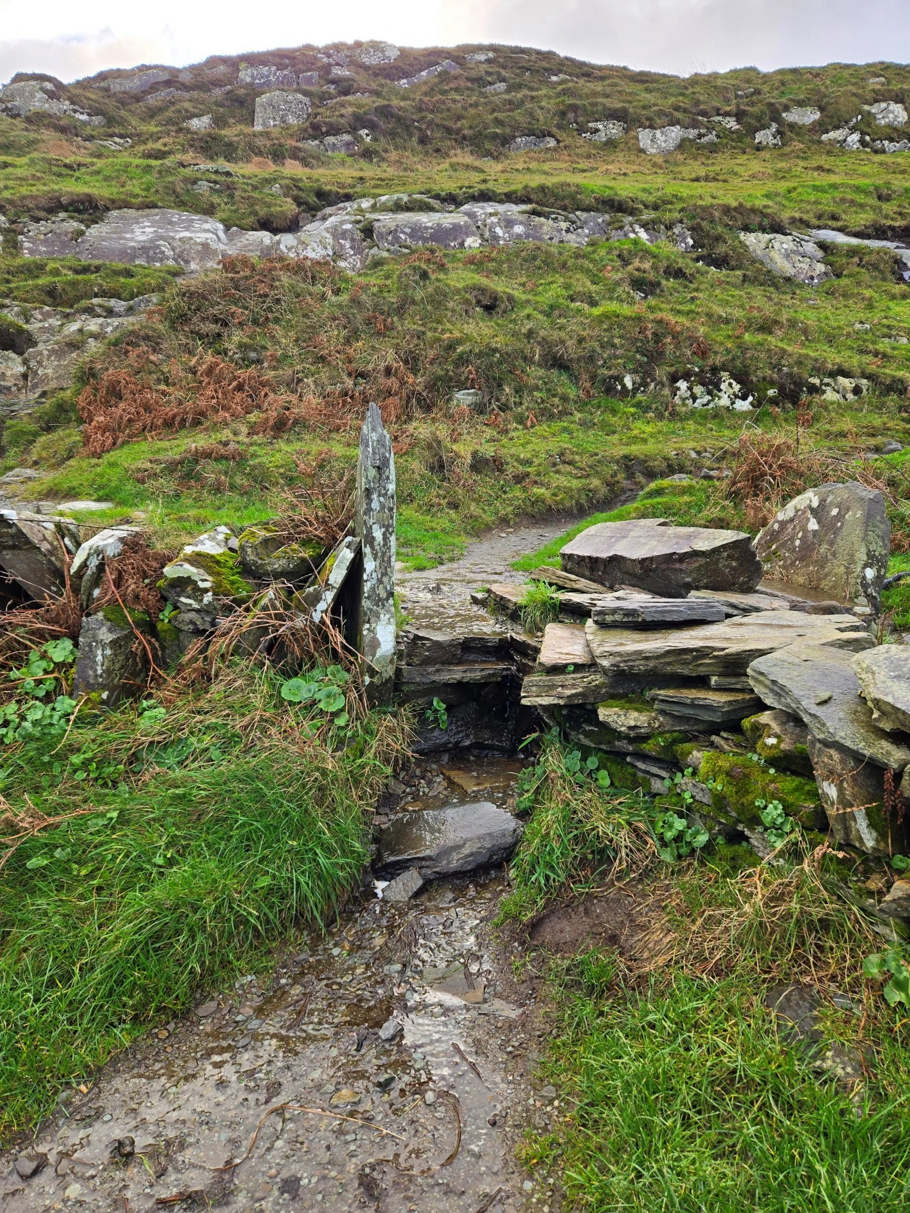 Beacon Path