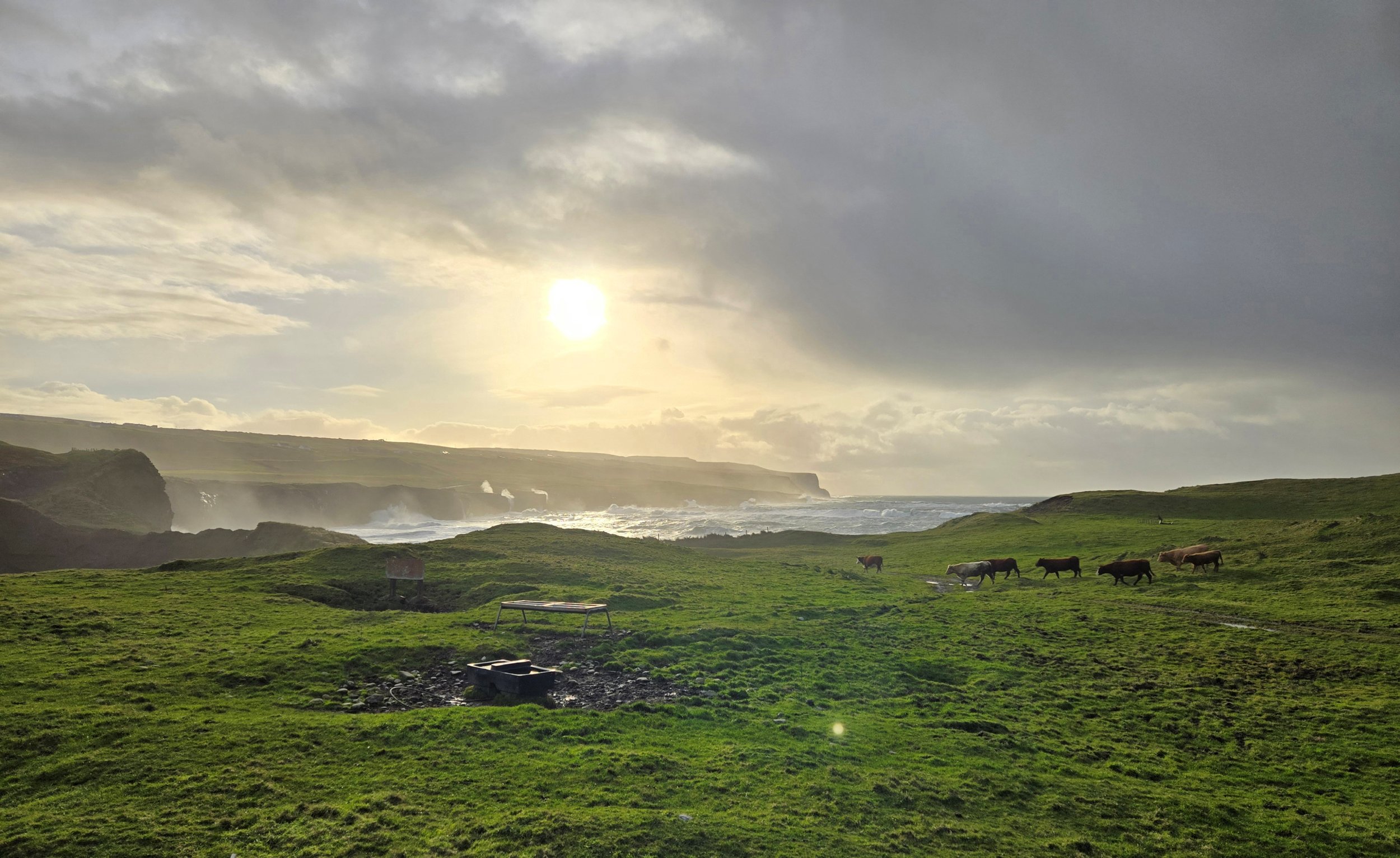 Doolin