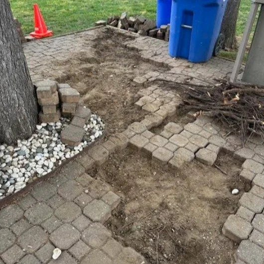 The downside of trees....
