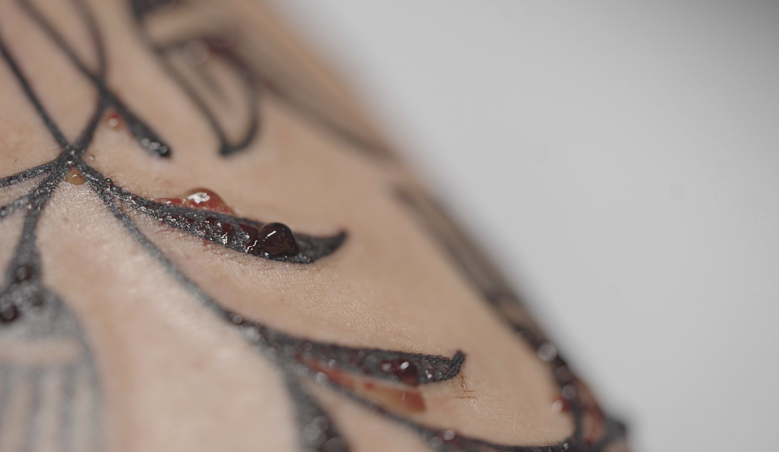 A client receives a tattoo at Pars Fortuna, Baylen Levore's studio in Asheville, N.C., on May 12, 2025.