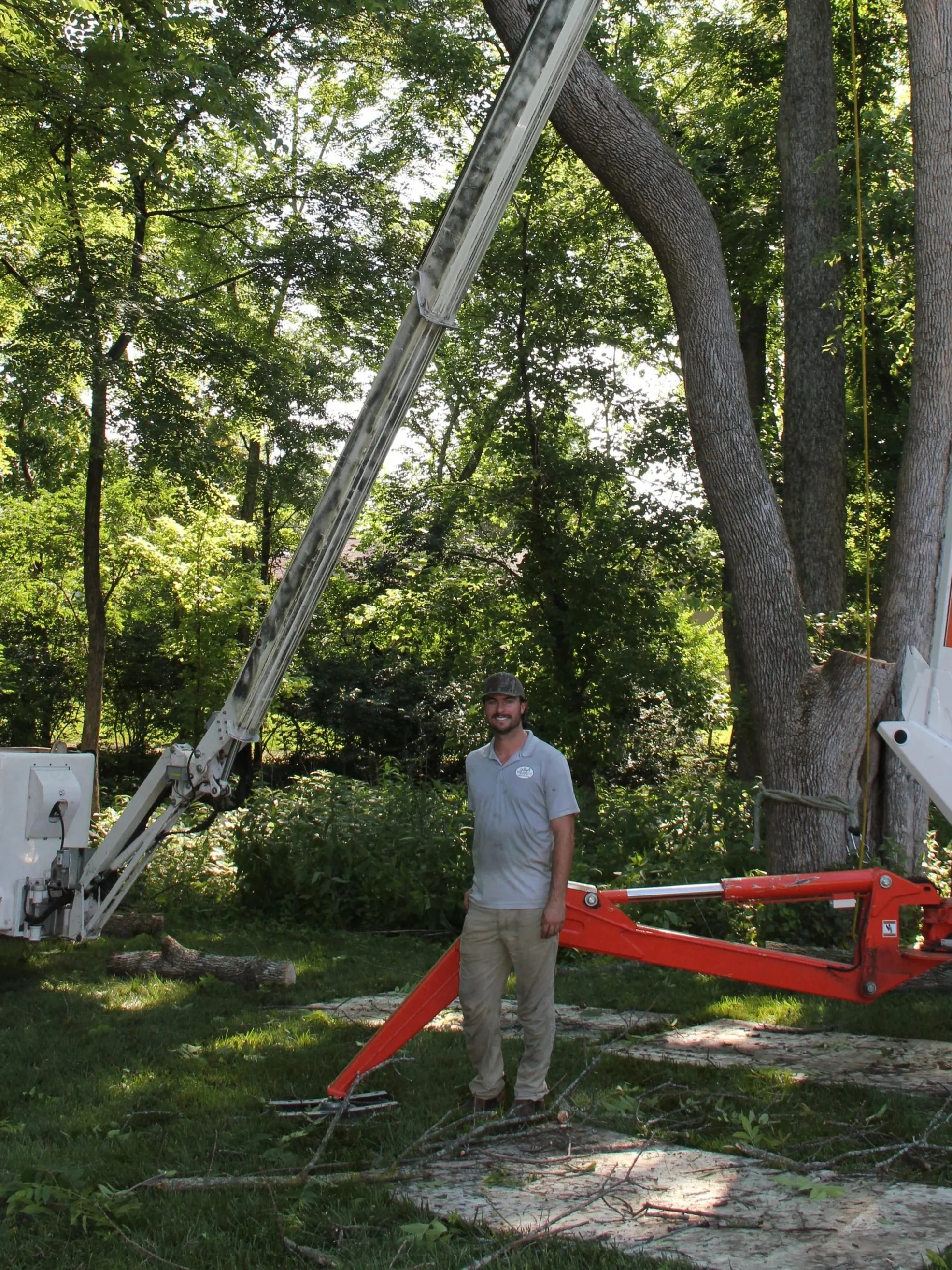 Stief's Tree Care, posed of active tree removal, operating tree-trimming equipment and lift near large dead ash tree. The scene is lush and sunny, with the equipment preparing to cut a large tree branch.