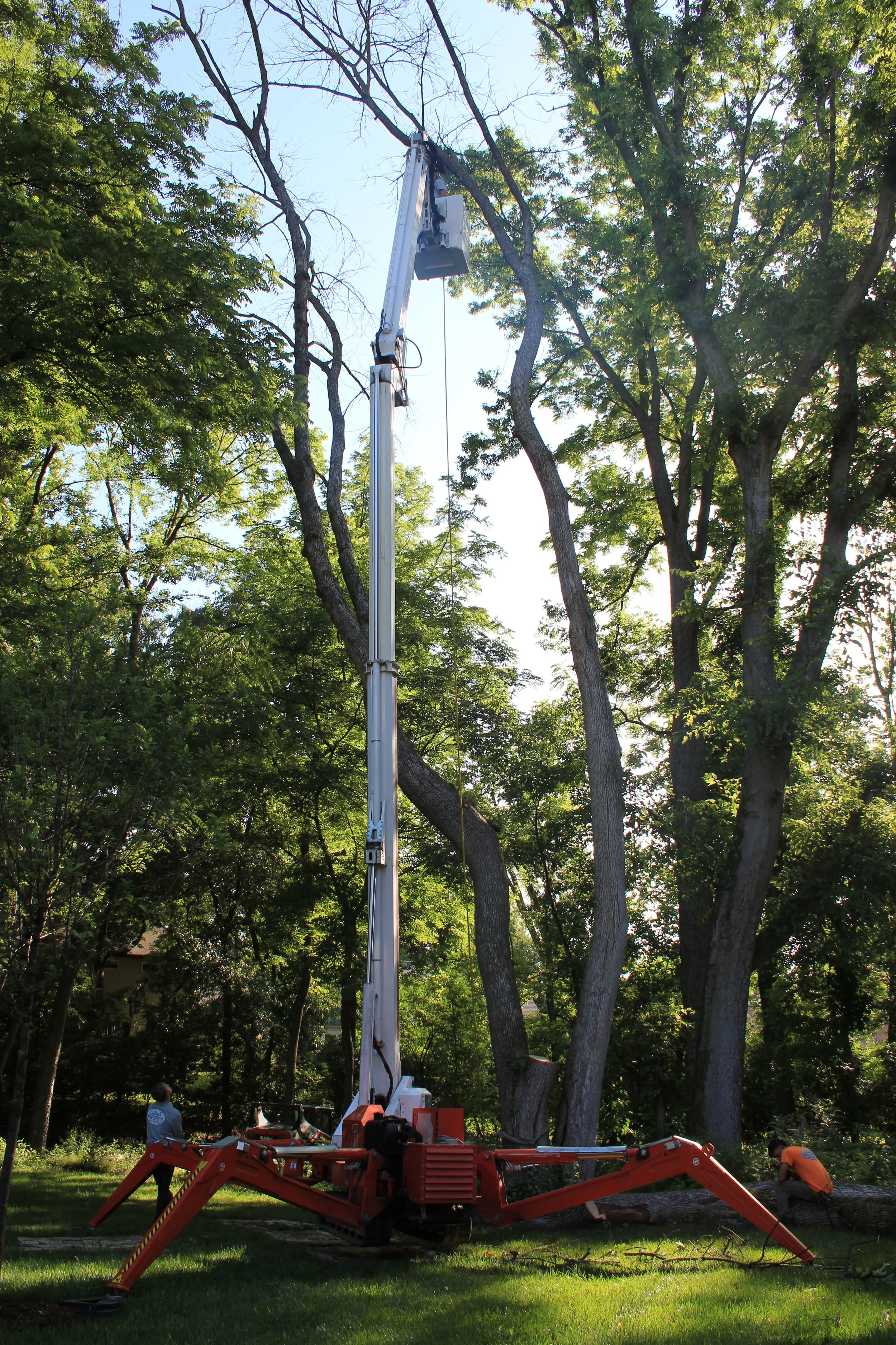 A large red and white bucket truck with an extendable arm reaching into a tree, with workers on the ground around it, set in a green, wooded area during daytime.