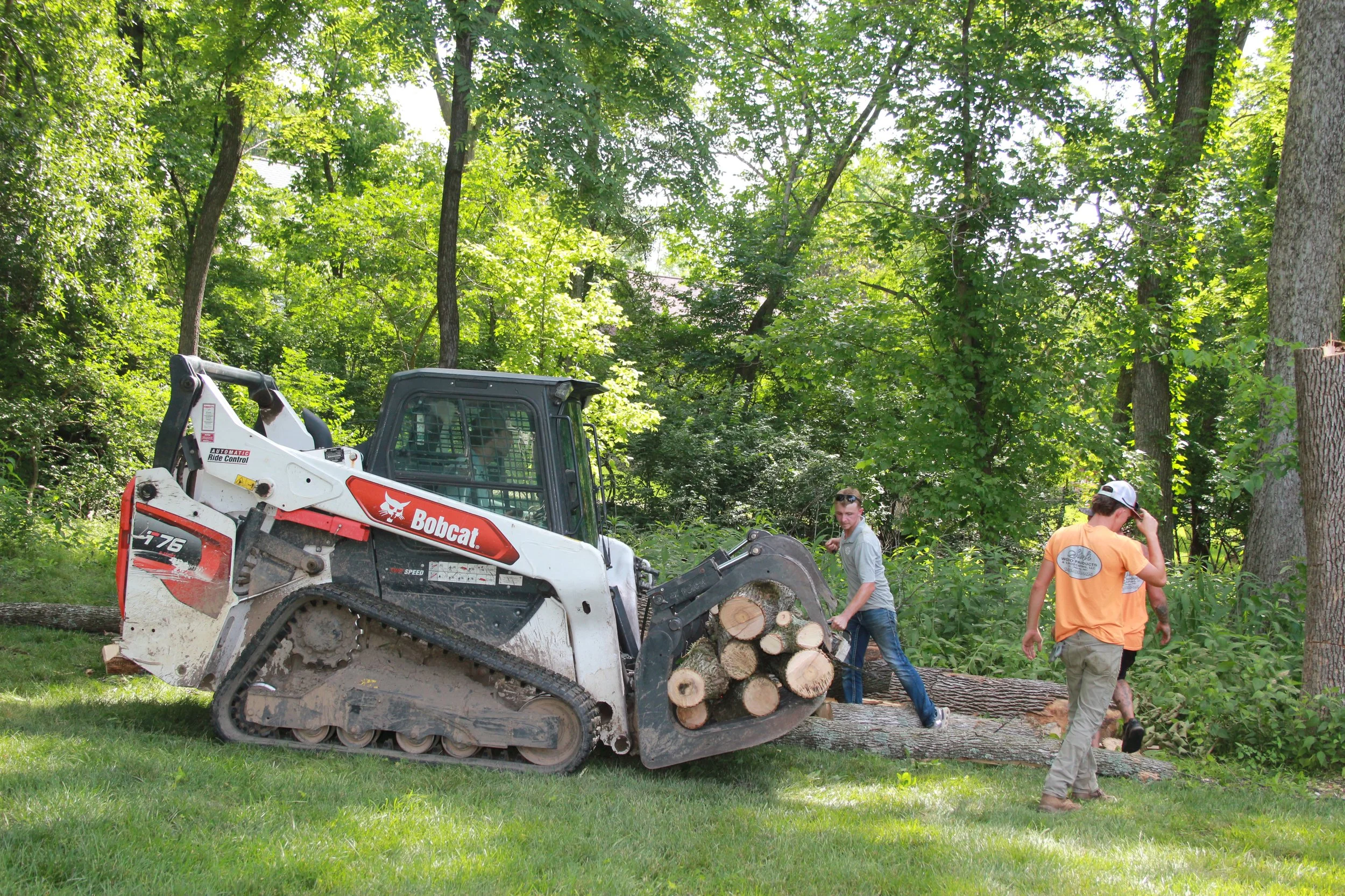 People working outdoors in a wooded area, using a Bobcat skid-steer loader to move cut logs.