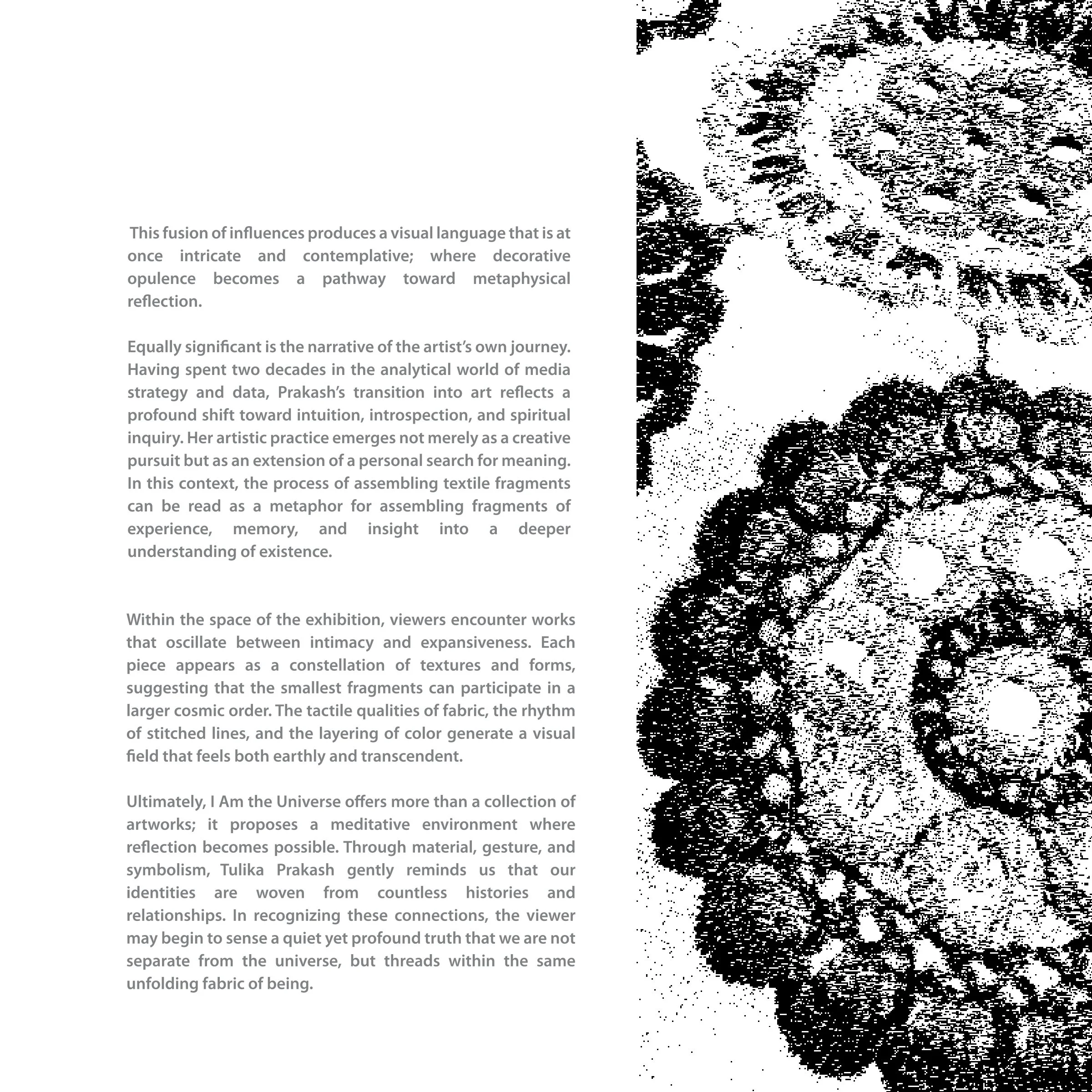 I am the Universe_FINAL_page-0012.jpg
