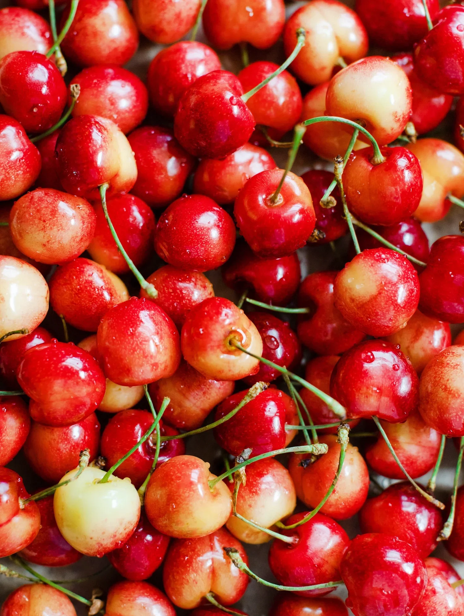 Cluster of red and yellow cherries with green stems.