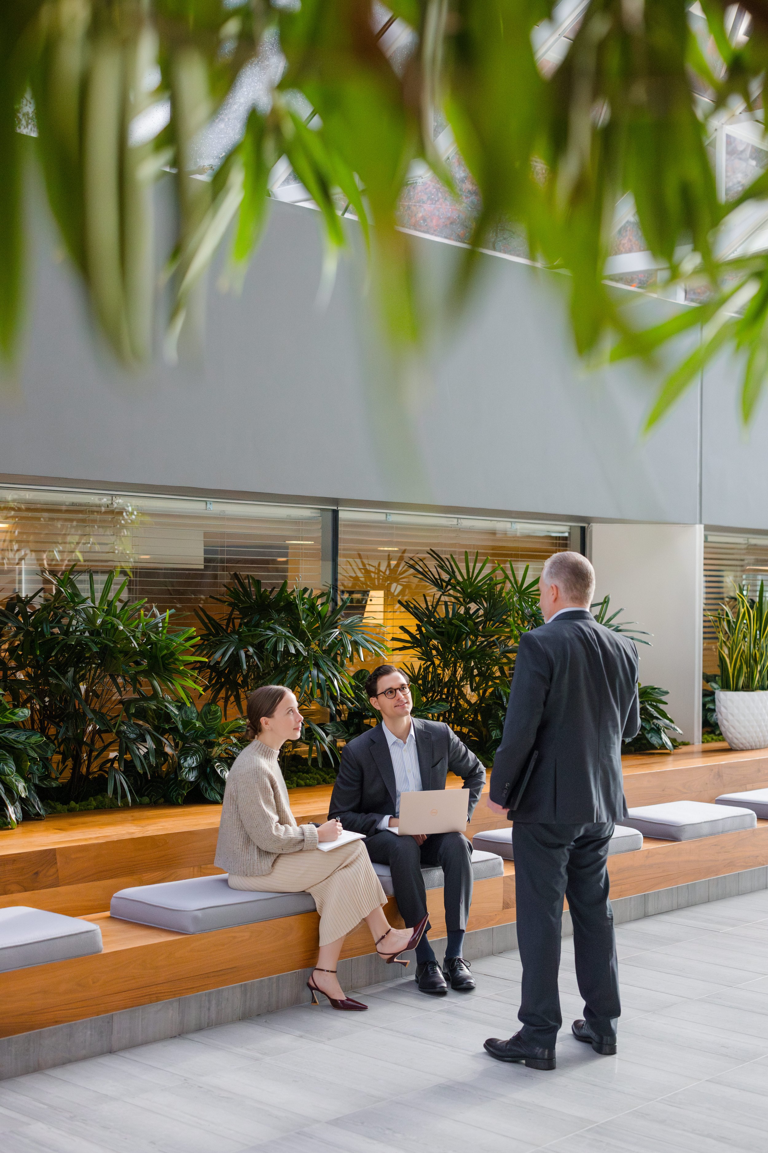 Two women and one man having a discussion in a modern office lobby surrounded by green plants. The man is standing while the women are seated on a wooden bench with cushions.