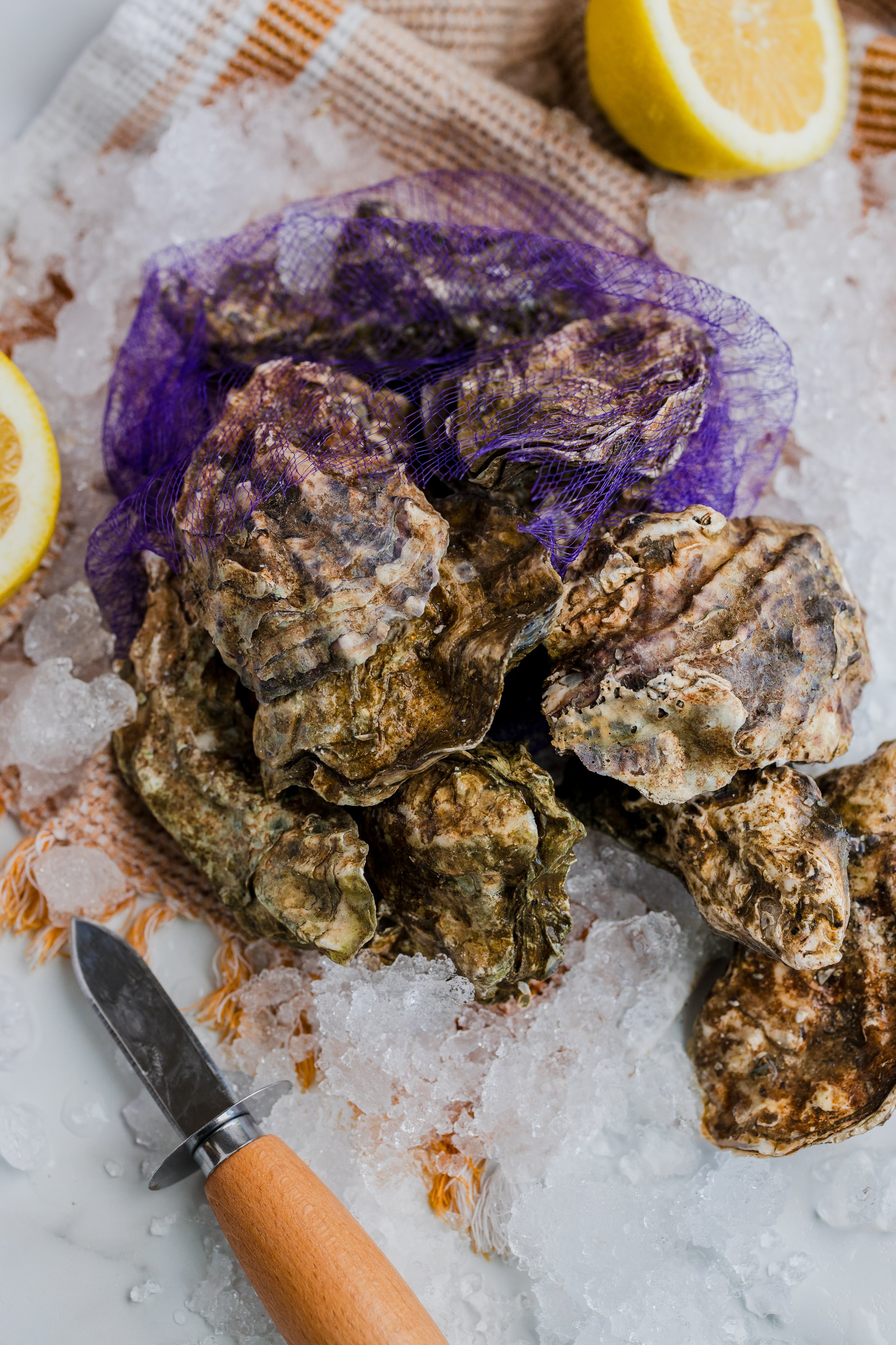 Fresh oysters on ice with lemon wedges and a shucking knife.