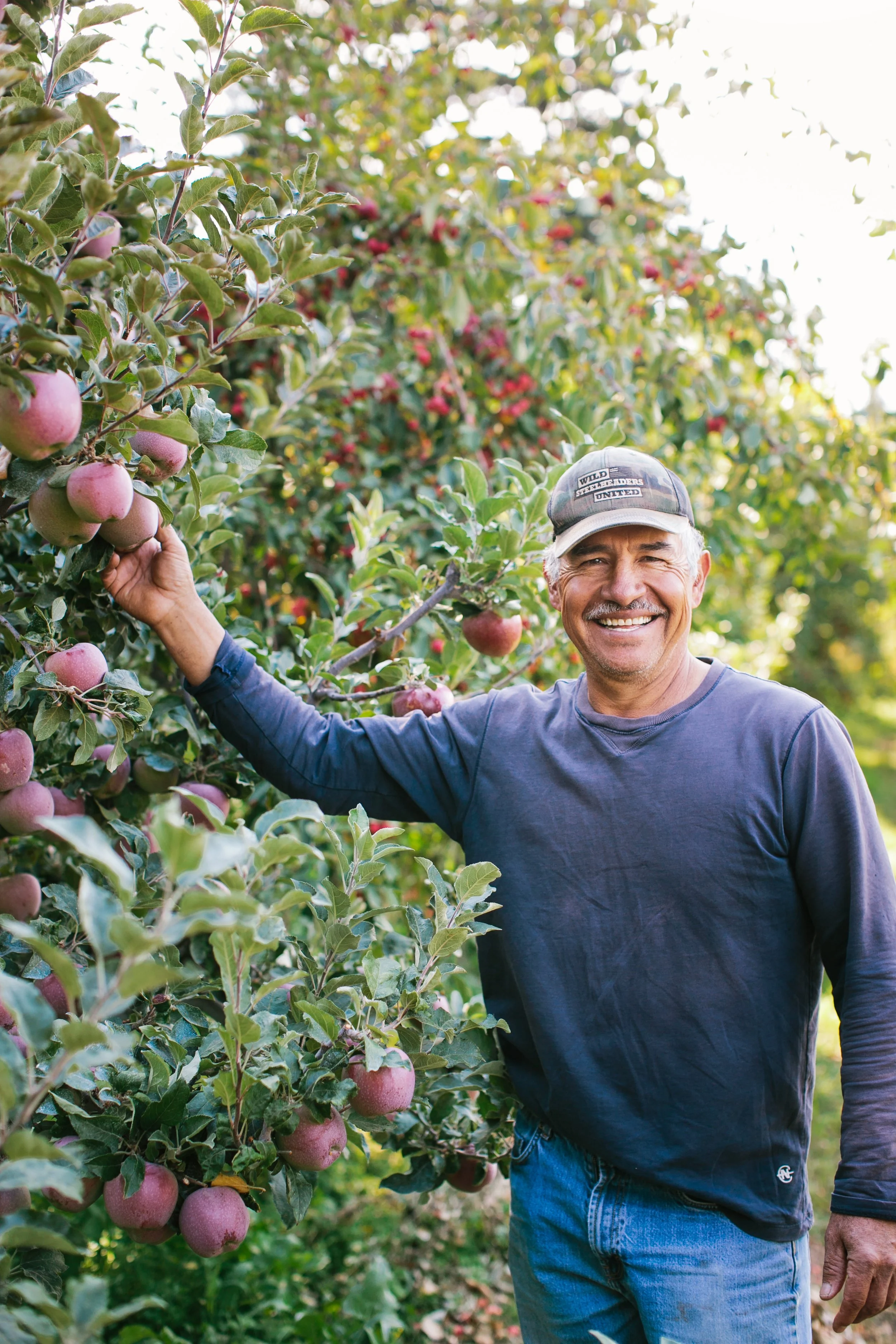 A man smiling and wearing a dark long sleeve shirt and baseball cap, harvesting red apples from an orchard.