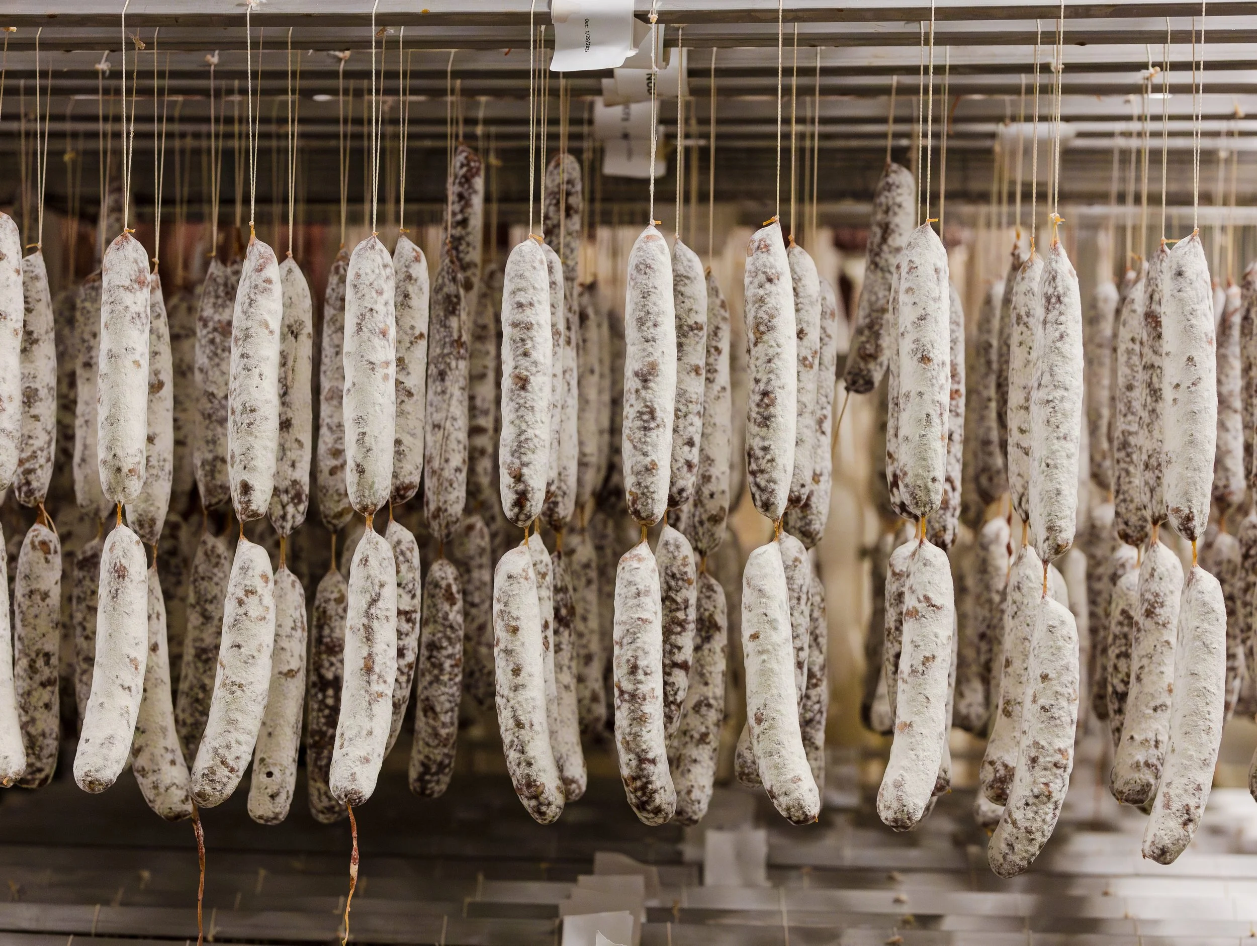 Cylindrical sausages or speckled cured meats hanging in a food drying or curing facility.