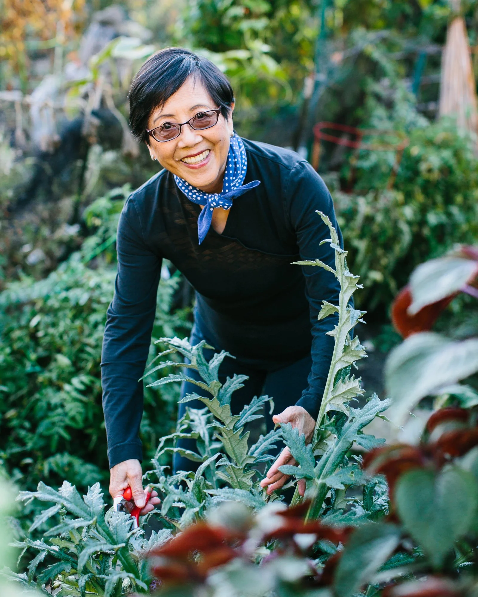A woman outdoors in a garden, smiling, wearing glasses, a black long-sleeve shirt, and a blue polka-dotted scarf, cutting plant with garden shears.