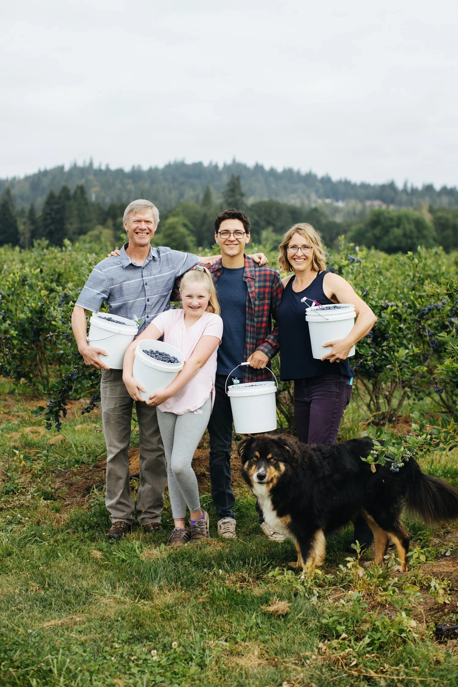 Family picking blueberries in a farm field, smiling, holding buckets of blueberries, with a dog nearby.