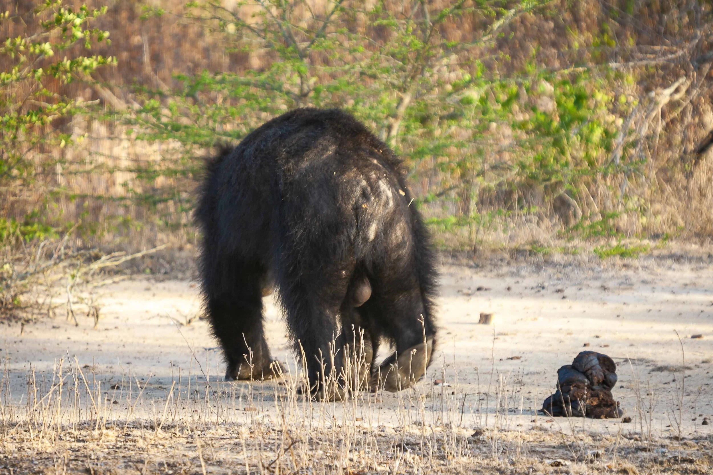 Canon EOS 400D DIGITAL 3888x2592_002252.jpg