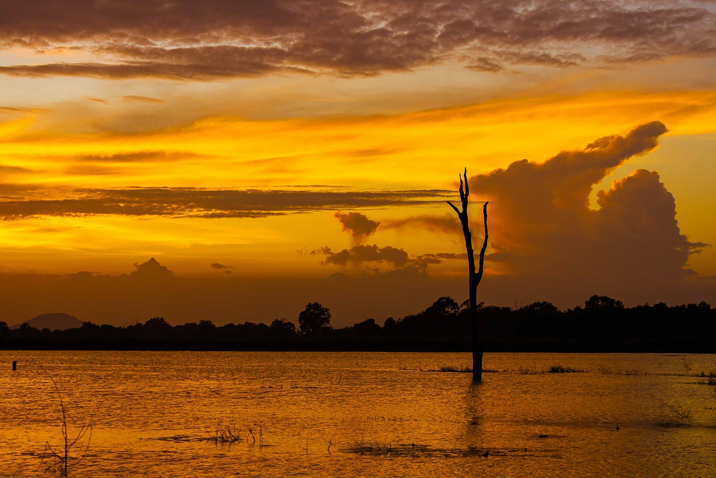 Sunset at Buttala-Kataragama road