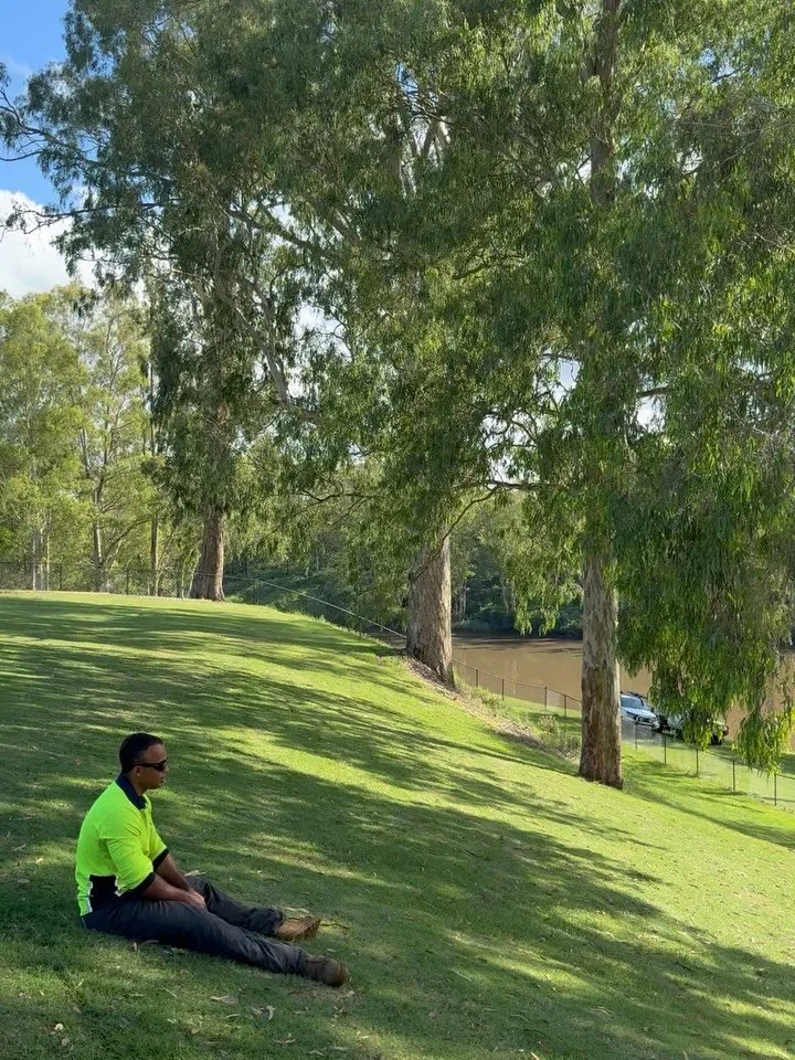 Nice big habitat 🪾

Today we completed a tree removal right here in the local area - done safely, efficiently, and ready for the next stage of the project.
As your trusted local tree service, Tall Timbers specialises in tree removals, pruning, and s