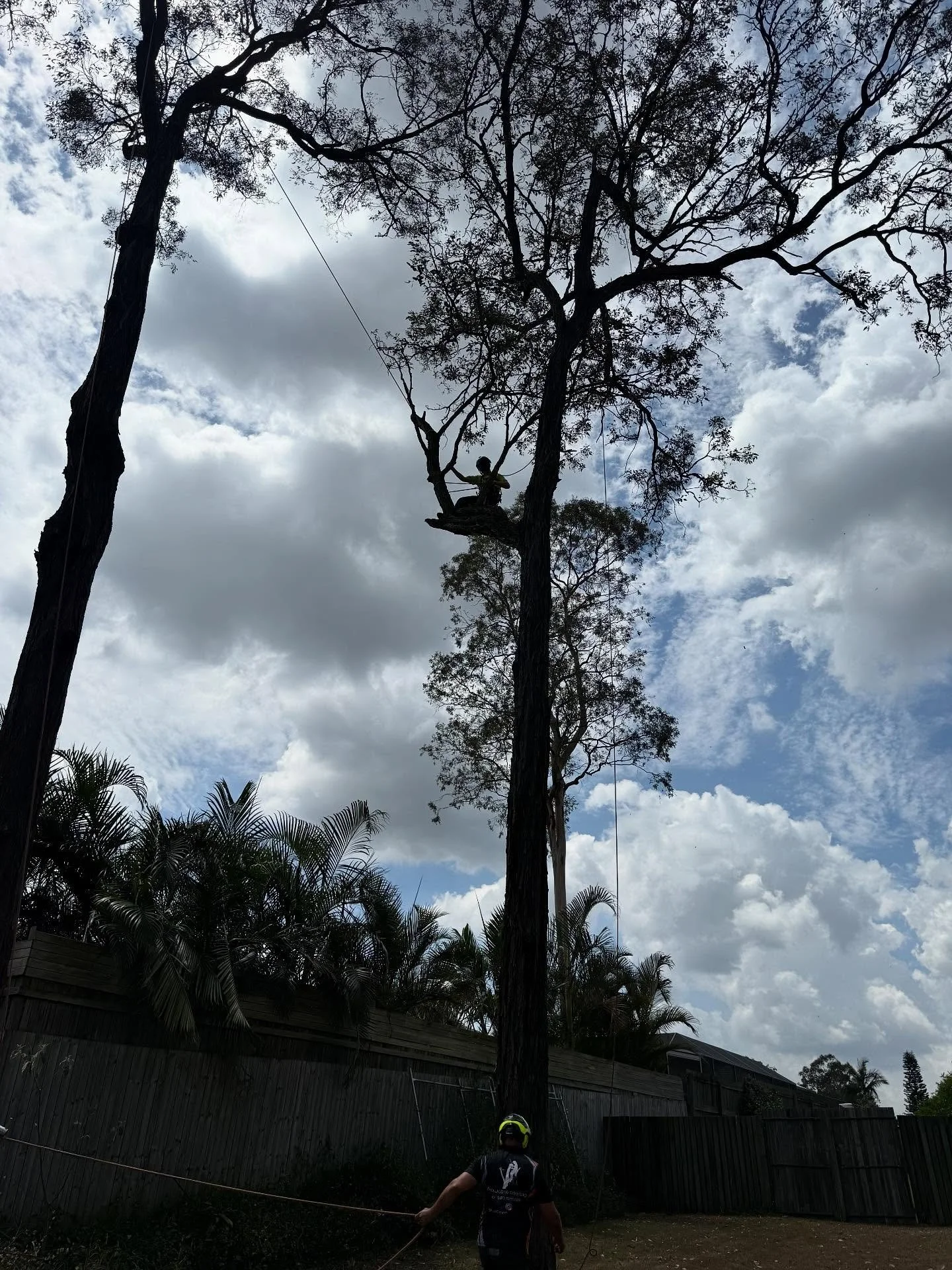 ⛈️🌨️Wild weather is a wake-up call. ⛈️🌧️

Your local Bellbowrie company! 

Overhanging branches, unstable trees, and tangled growth won&rsquo;t fix themselves &mdash; and next time, you might not be so lucky.
At Tall Timber Tales we&rsquo;re your l