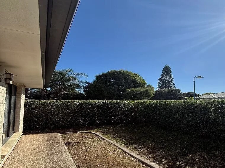 A backyard patio with a concrete path, bordered by a hedge, under a clear blue sky with sunlight.