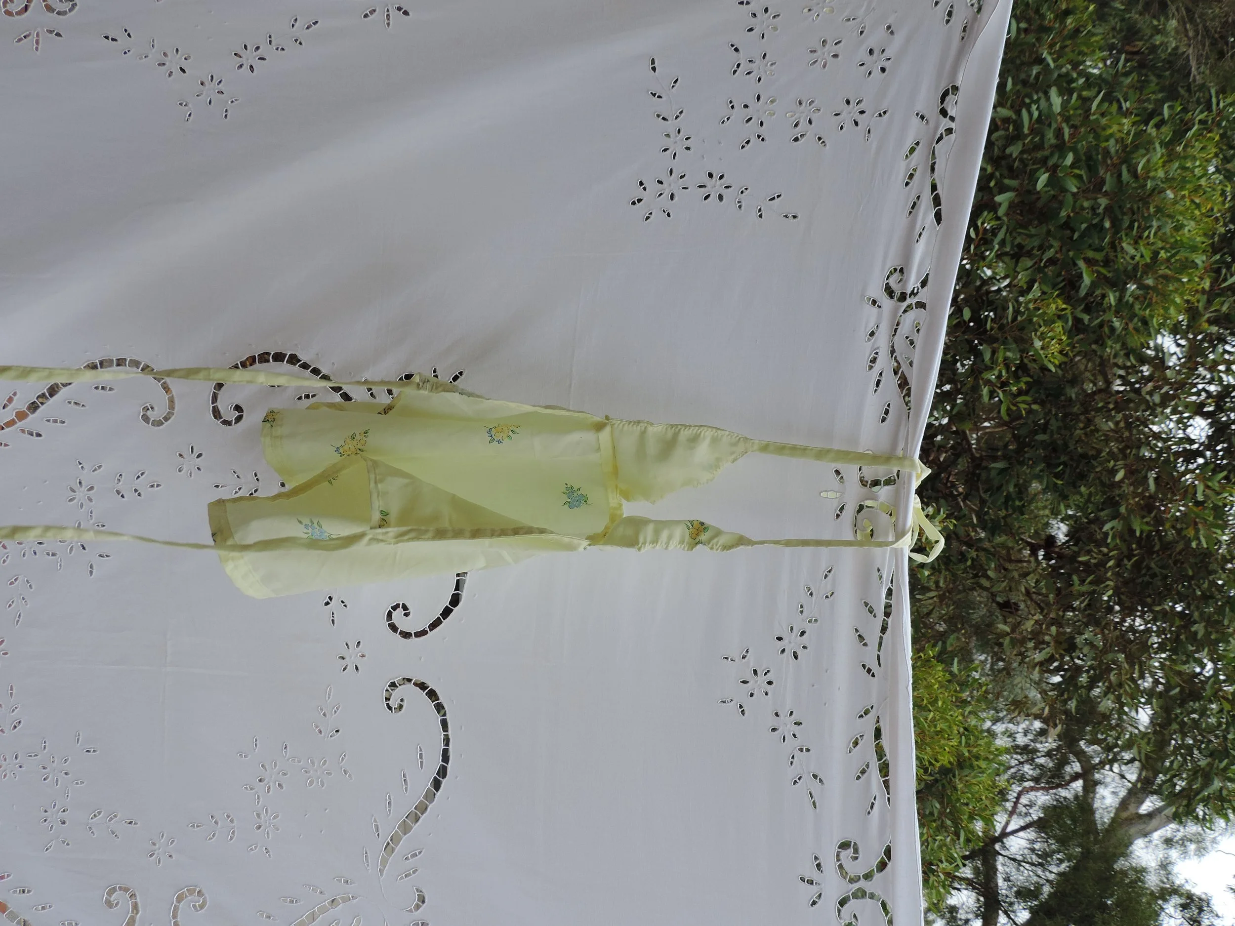 DSCN1369.JPG