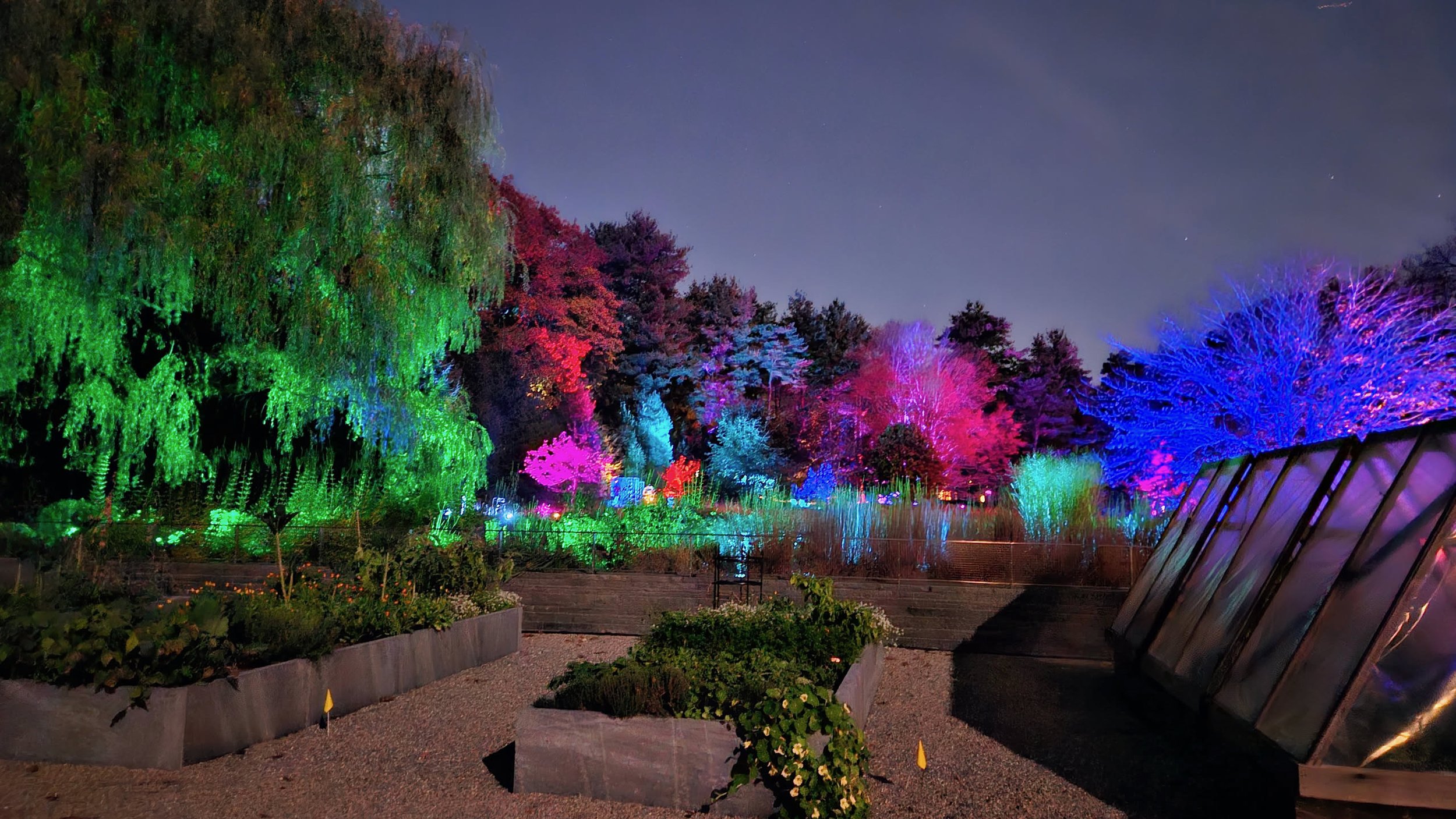 Nighttime garden with colorful illuminated trees and plants, including green, pink, purple, and blue lights, and a slanted glass greenhouse structure on the right.