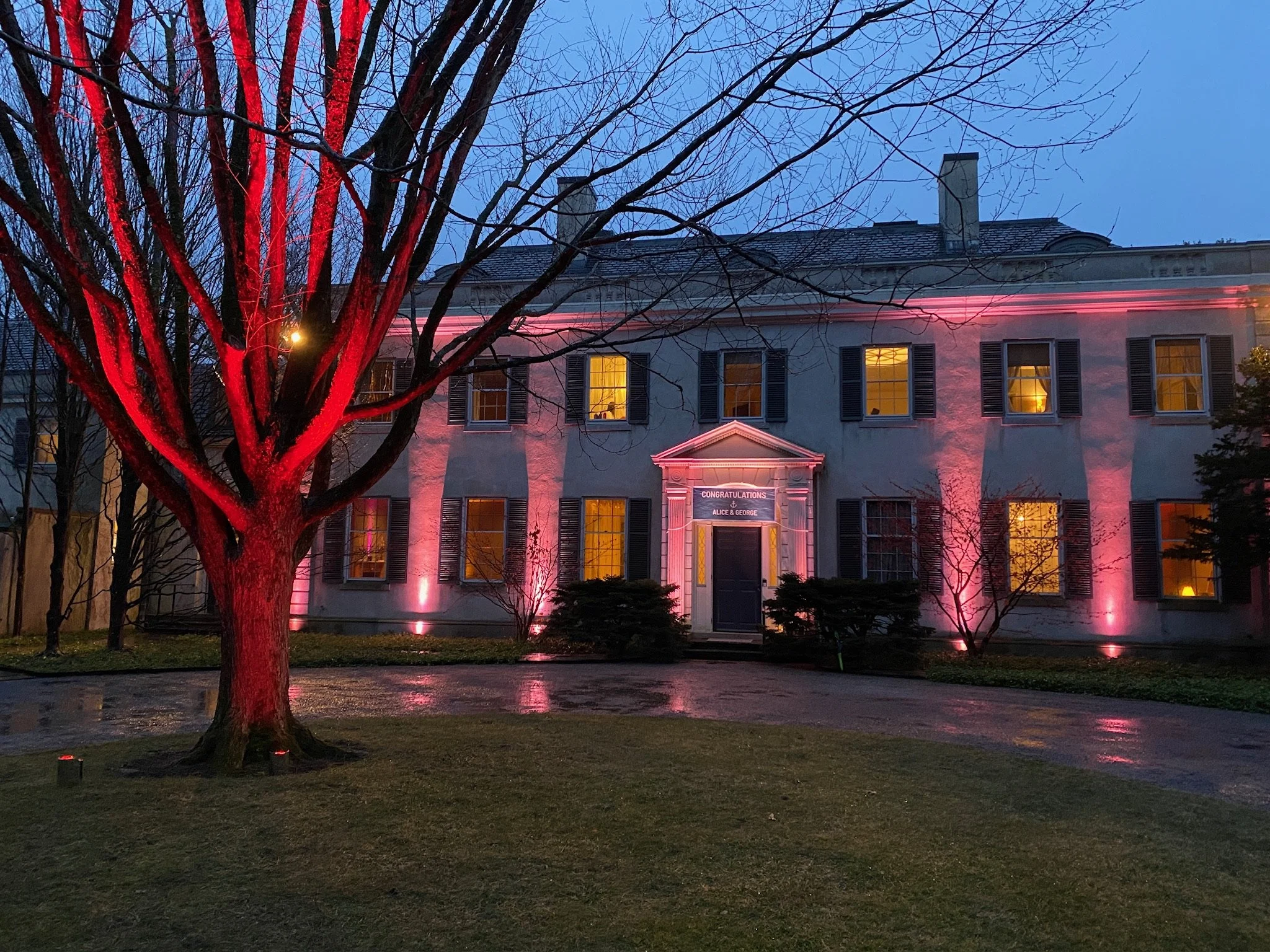 A large house illuminated with pink and yellow lights during the evening. A tree in the front yard is lit with red lights, and the house has multiple windows with yellow light coming through. There is a driveway and some shrubbery in front of the hou