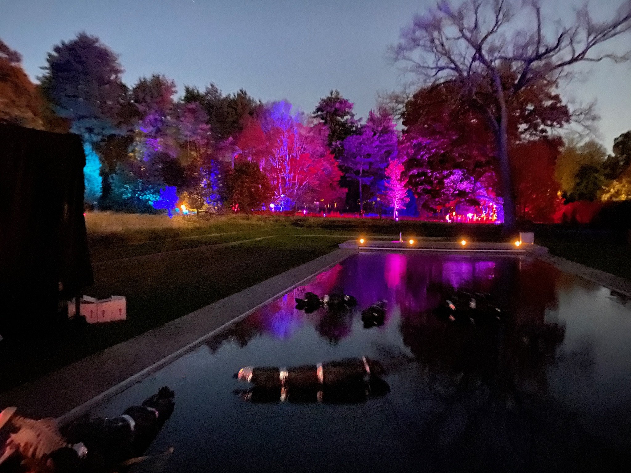 Nighttime scene of trees illuminated with colored lights, reflections on a pool of water, and a dark sky.