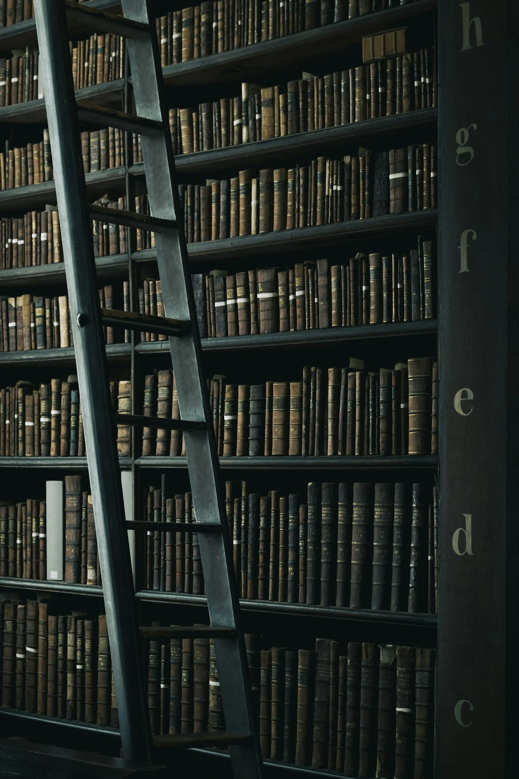 A tall wooden bookshelf filled with old leather-bound books labeled with letters from h to d, with a metal ladder leaning against it.
