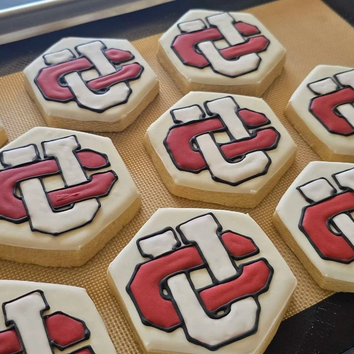 20260313_122544.jpg