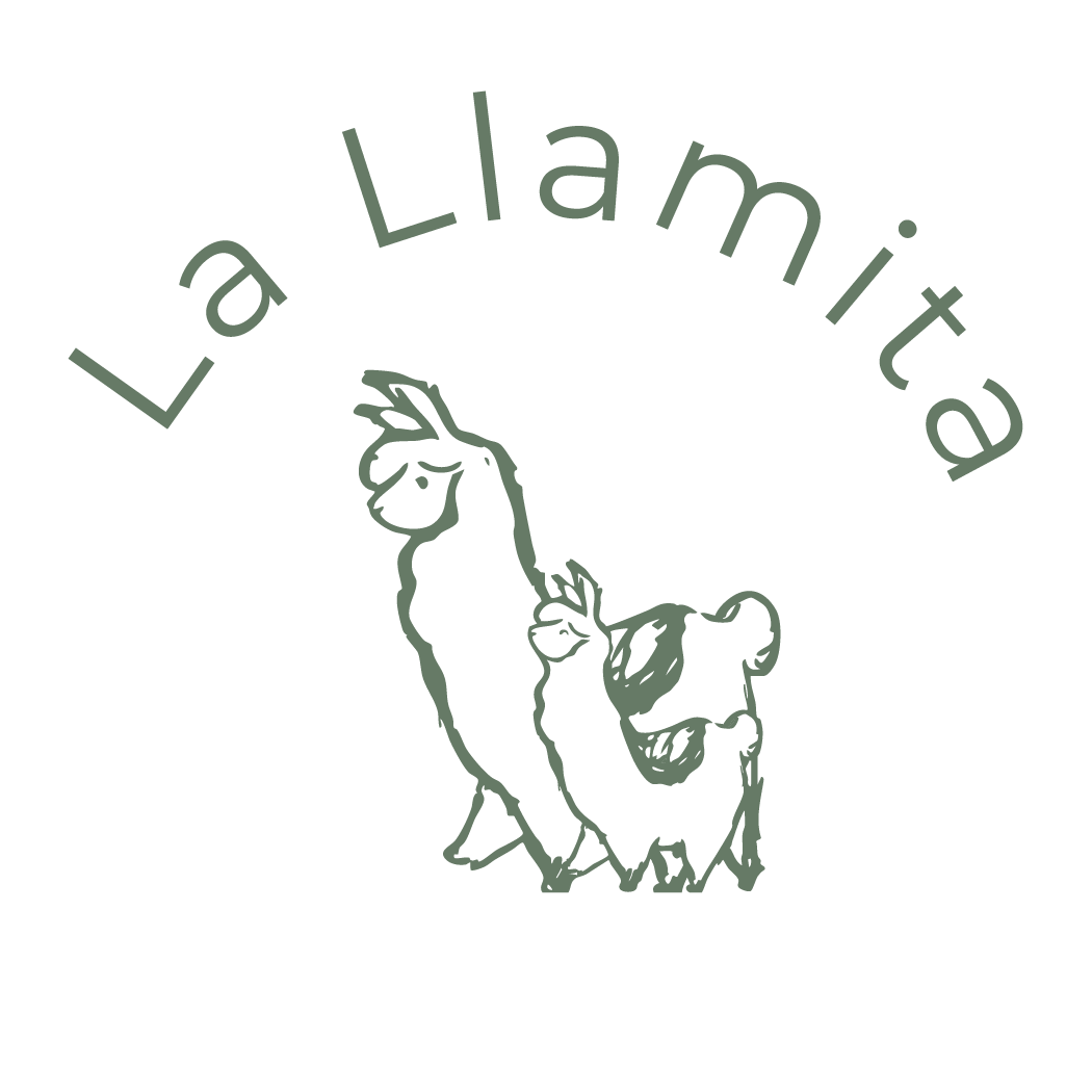 La Llamita
