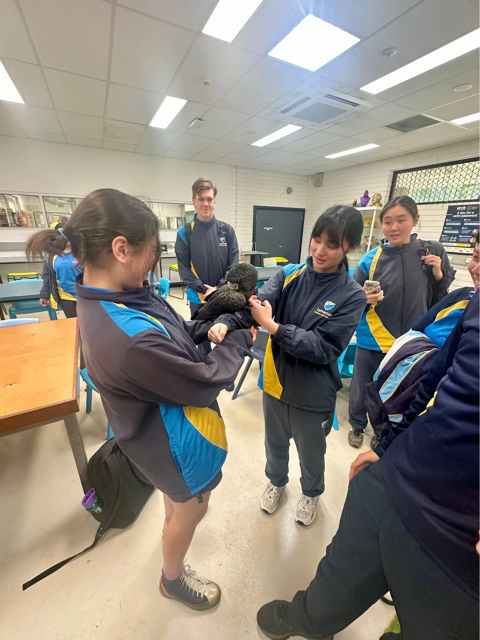 A group of students in school uniforms gathered in a classroom, with one girl holding a young black goanna and others watching. The classroom has a drop ceiling with fluorescent lights and classroom furniture.