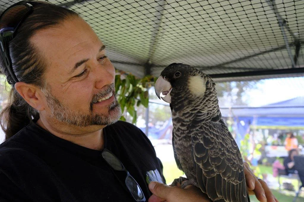 A man holding a large dark-feathered parrot with light markings, under a mesh canopy at an outdoor event.