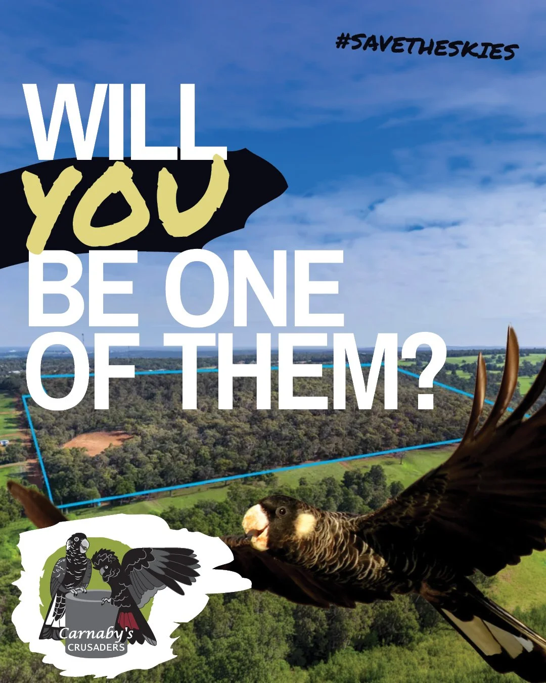 A flyer with a background of a sky and landscape, asking 'Will you be one of them?' with a large bird of prey and an illustrated parrot promoting conservation efforts for sky and wildlife.
