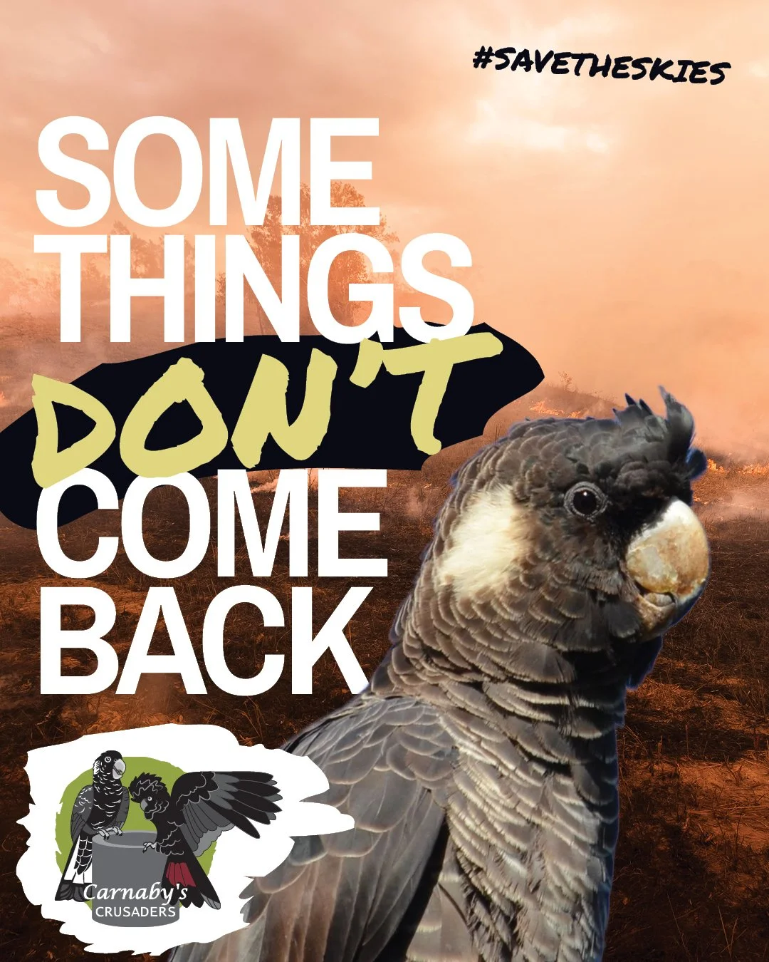 A sunset or sunrise over a landscape with a large bird of prey in the foreground and the message 'Some things don't come back' with the hashtag '#SaveTheSkies' and a logo for Carnabys Crusaders.