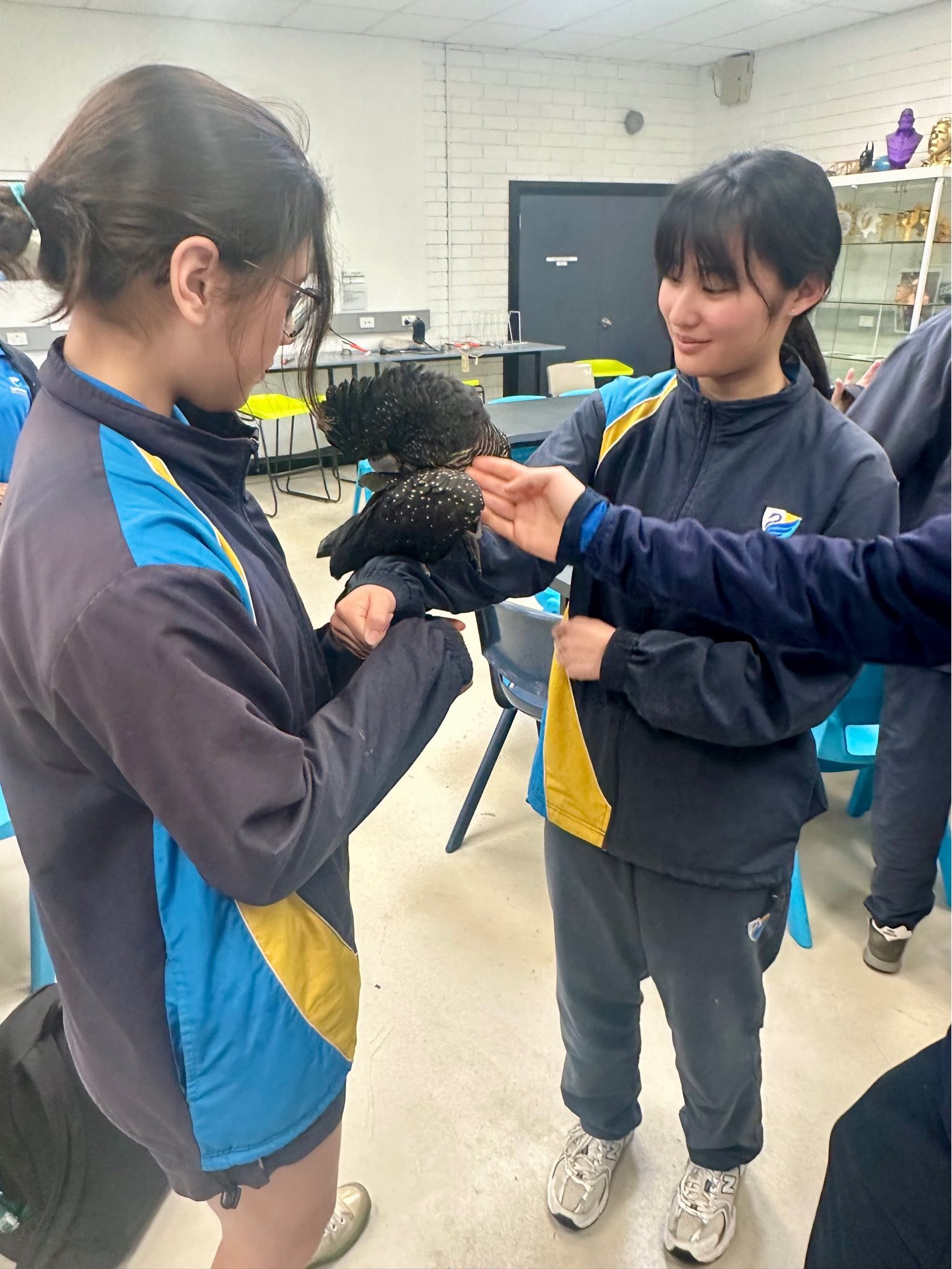 Two girls in school uniforms holding and petting a black chicken with white speckles.