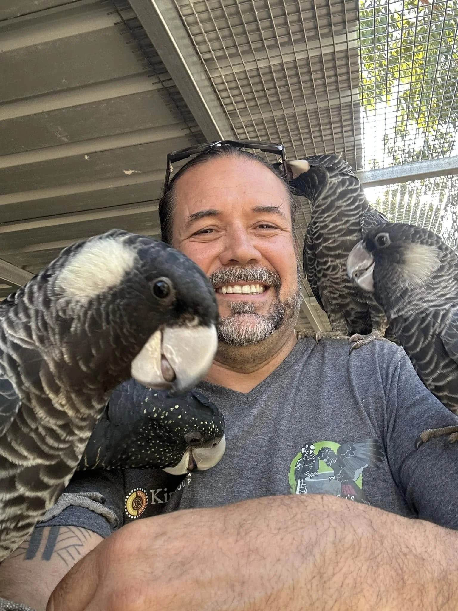 A man smiling with sunglasses on his head is surrounded by four black and white parrots with intricate feather patterns, perched on his shoulders and arms.