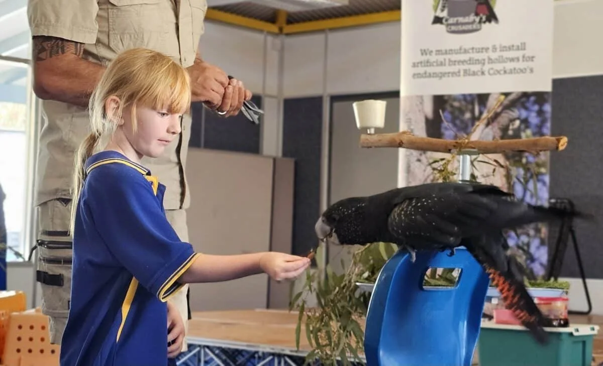 A young girl with red hair in a blue shirt feeds a black bird on a perch at an indoor exhibit, with an adult man standing behind her in the background.