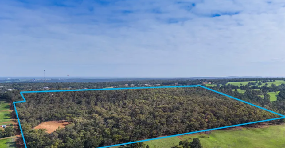Aerial view of a large wooded land parcel outlined in blue, adjacent to open fields with a partly cloudy sky above.