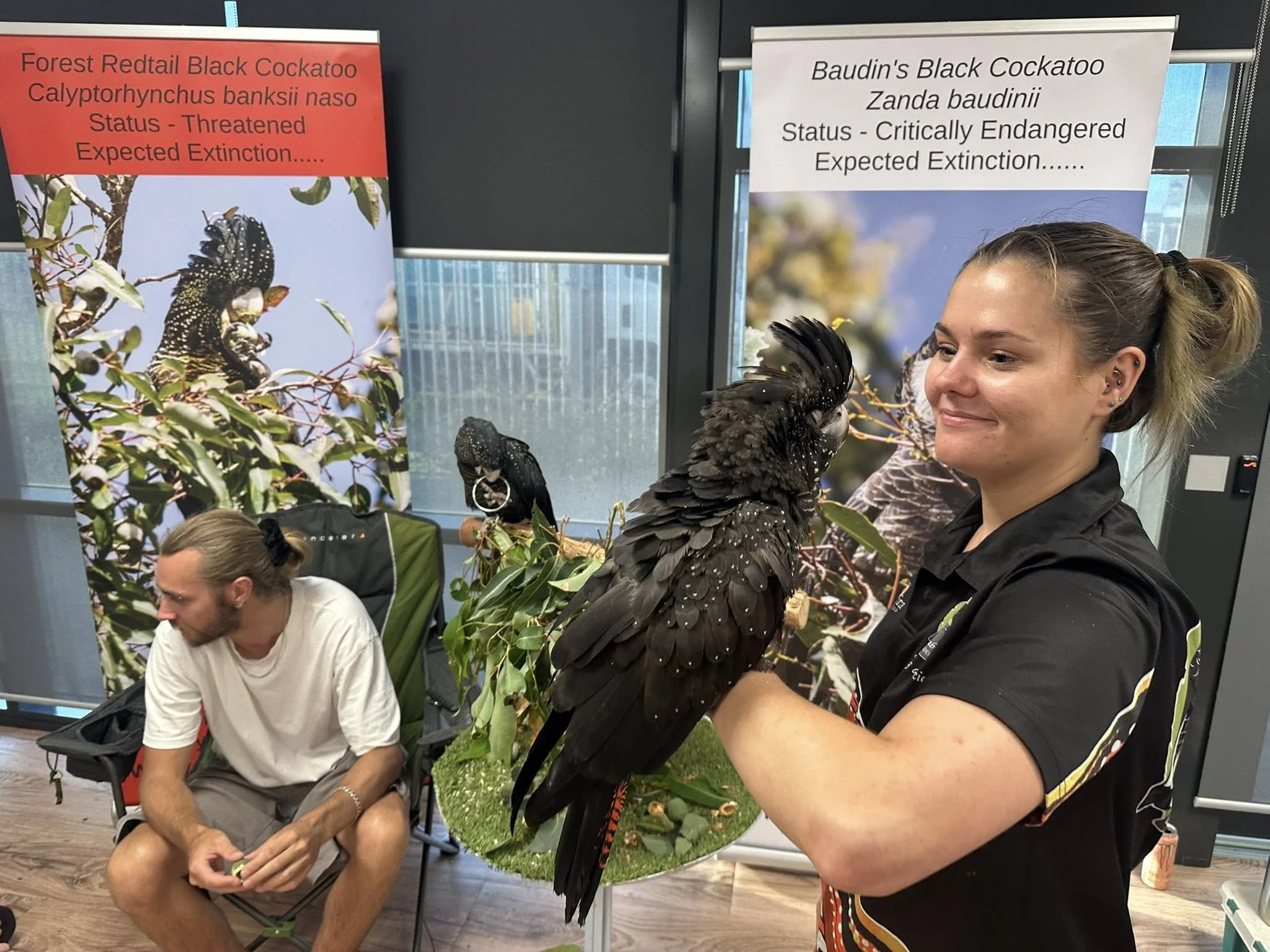 A woman holding a black cockatoo, with two informative posters behind her about threatened and critically endangered black cockatoo species.