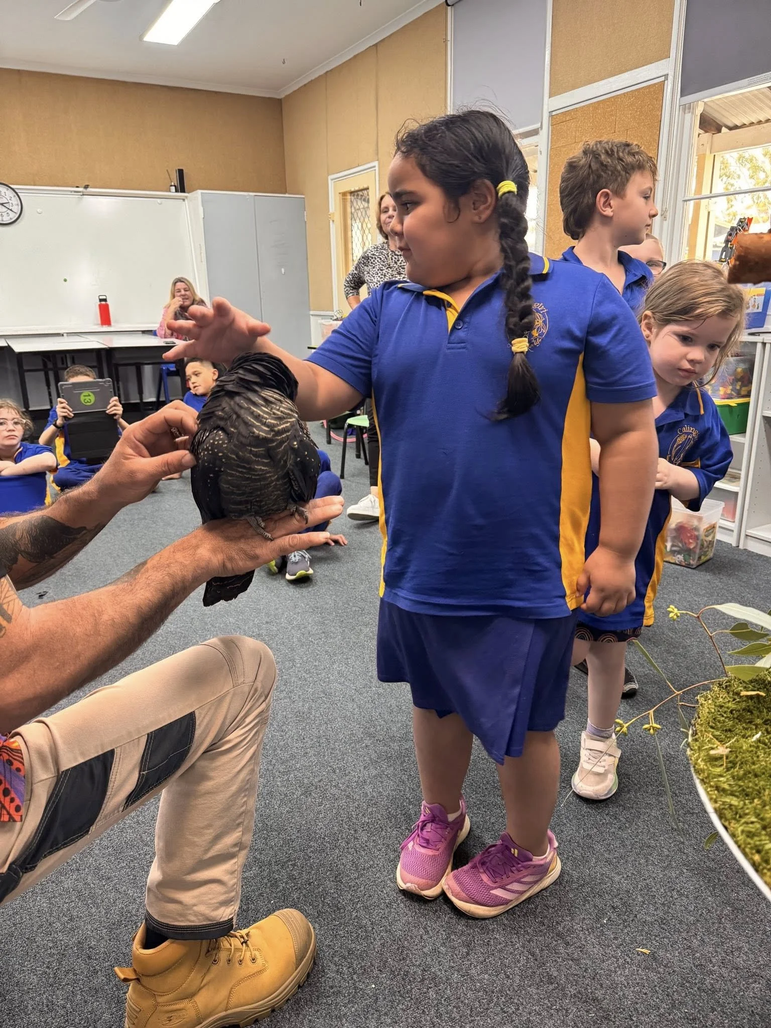 A young girl in a blue school uniform with yellow accents and pink sneakers petting a bird that is being held by an adult with tattooed arms in a classroom setting. Other children and a teacher are observing in the background.