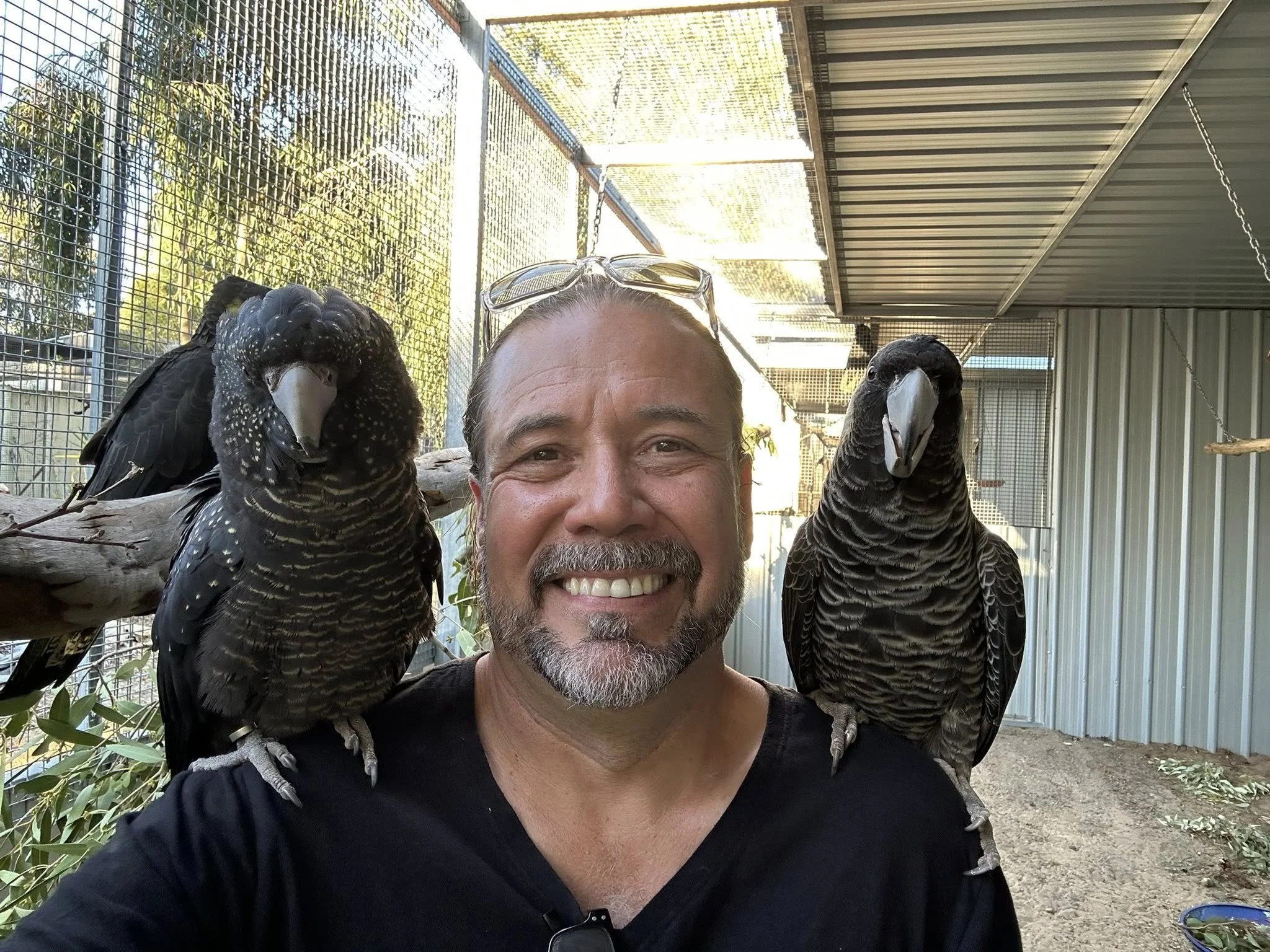 A man smiling with sunglasses on his head, surrounded by two large black and white birds perched on his shoulders. They appear to be in an outdoor aviary with trees, greenery, metal fencing, and a corrugated metal roof in the background.