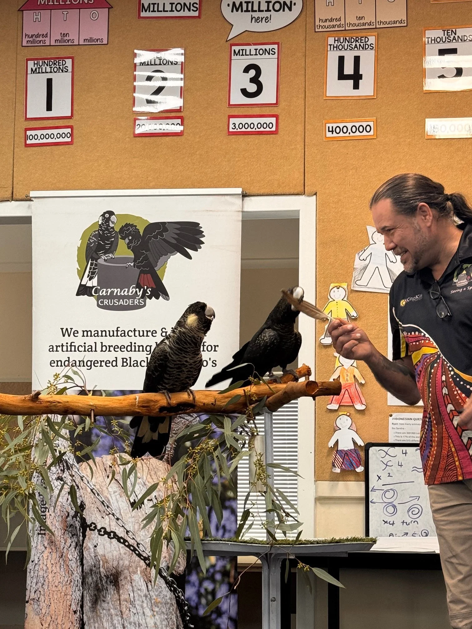 A man interacting with two black cockatoos perched on a branch in front of a display about black cockatoos and artificial breeding at a conservation event. The background includes educational posters on numbers and a banner for Carnaby's Crusaders.