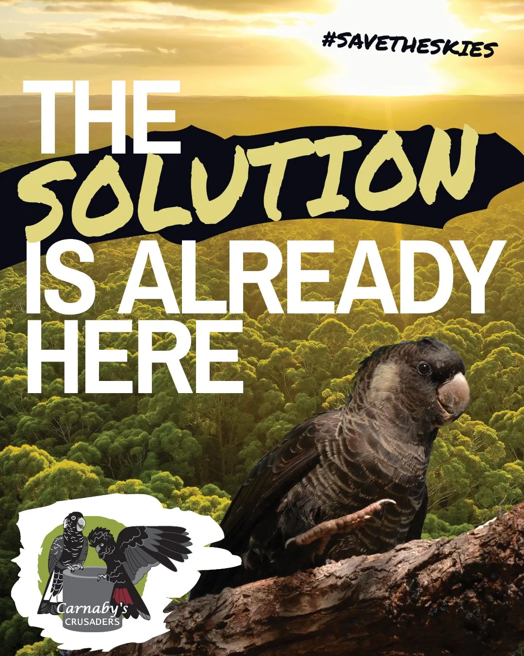 A forest with a sunset sky, a bird sitting on a tree branch, and a logo for Carnaby's Crusaders in the bottom left corner, with the text '#SAVETHESKIES' and 'THE SOLUTION IS ALREADY HERE' overlaid.