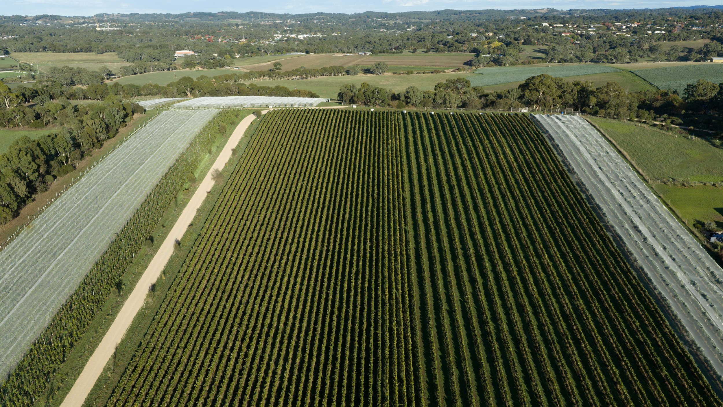 DJI_20260406073539_0152_D.jpg