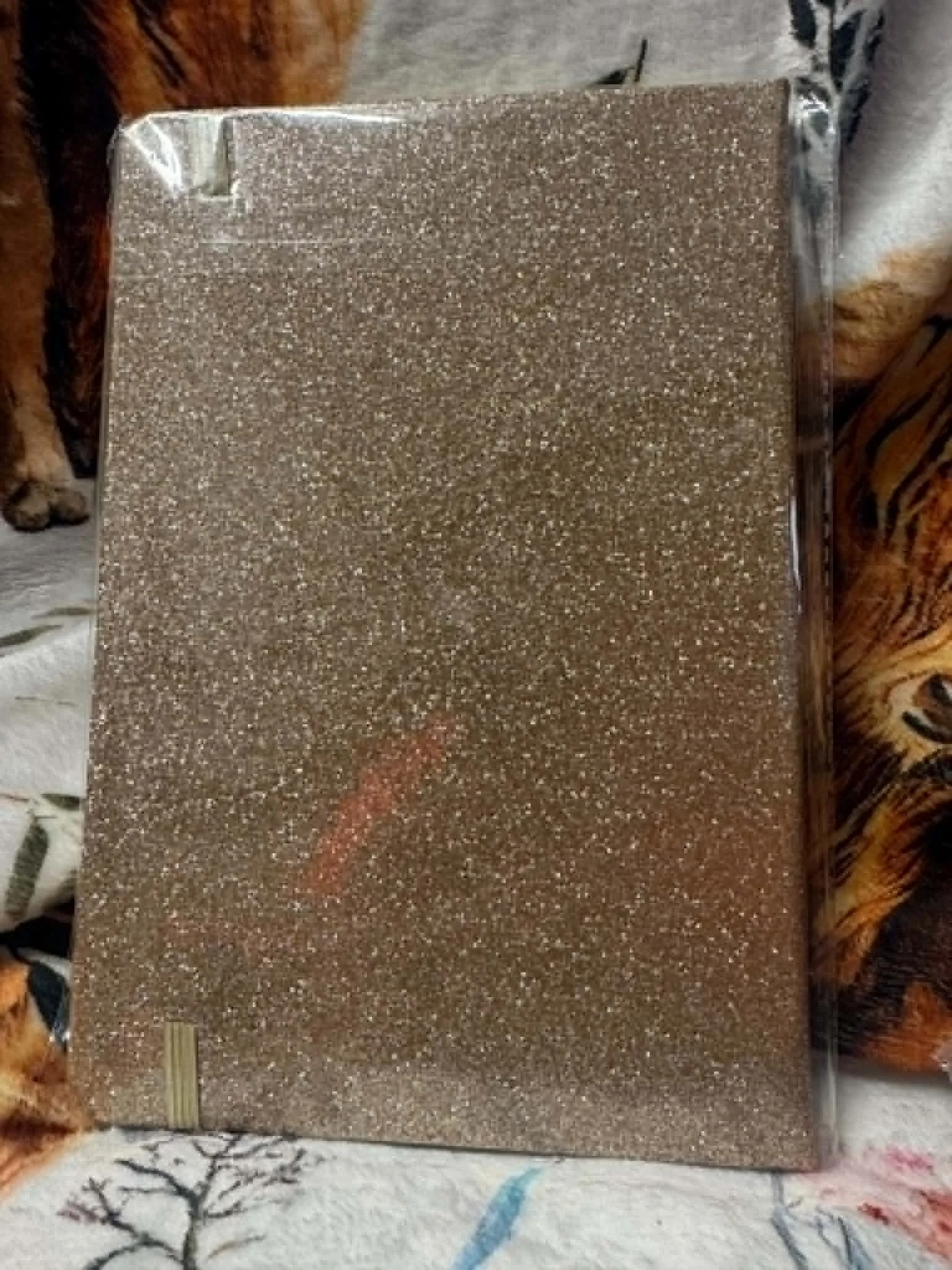 f179a292-c121-4768-bd64-e67cad164ac2.jfif